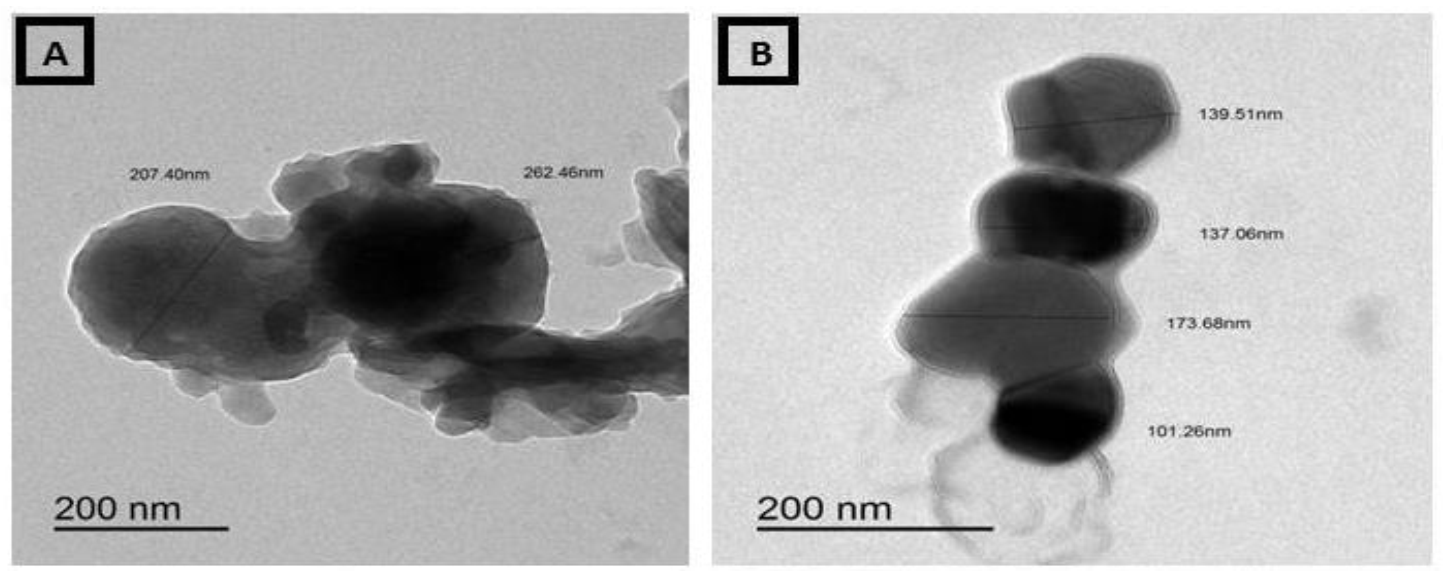 Biology 11 00450 g007 550