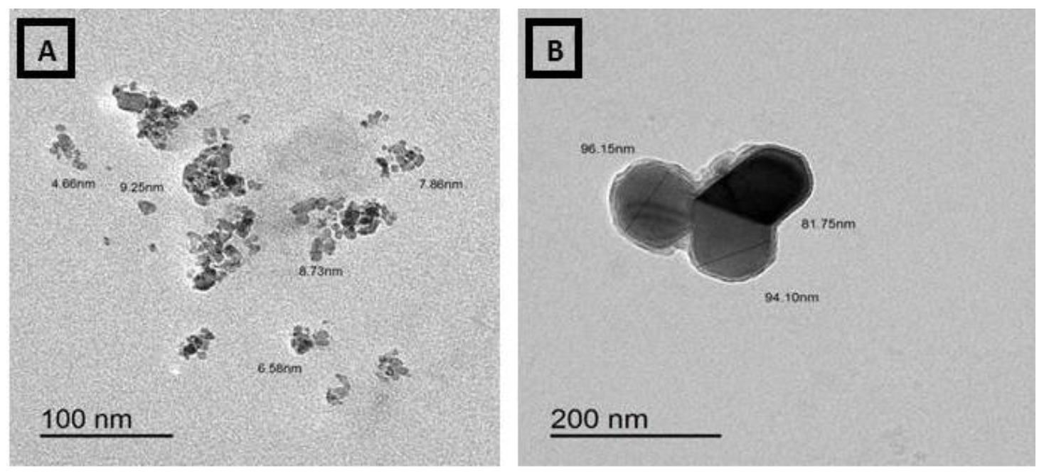 Biology 11 00450 g008 550