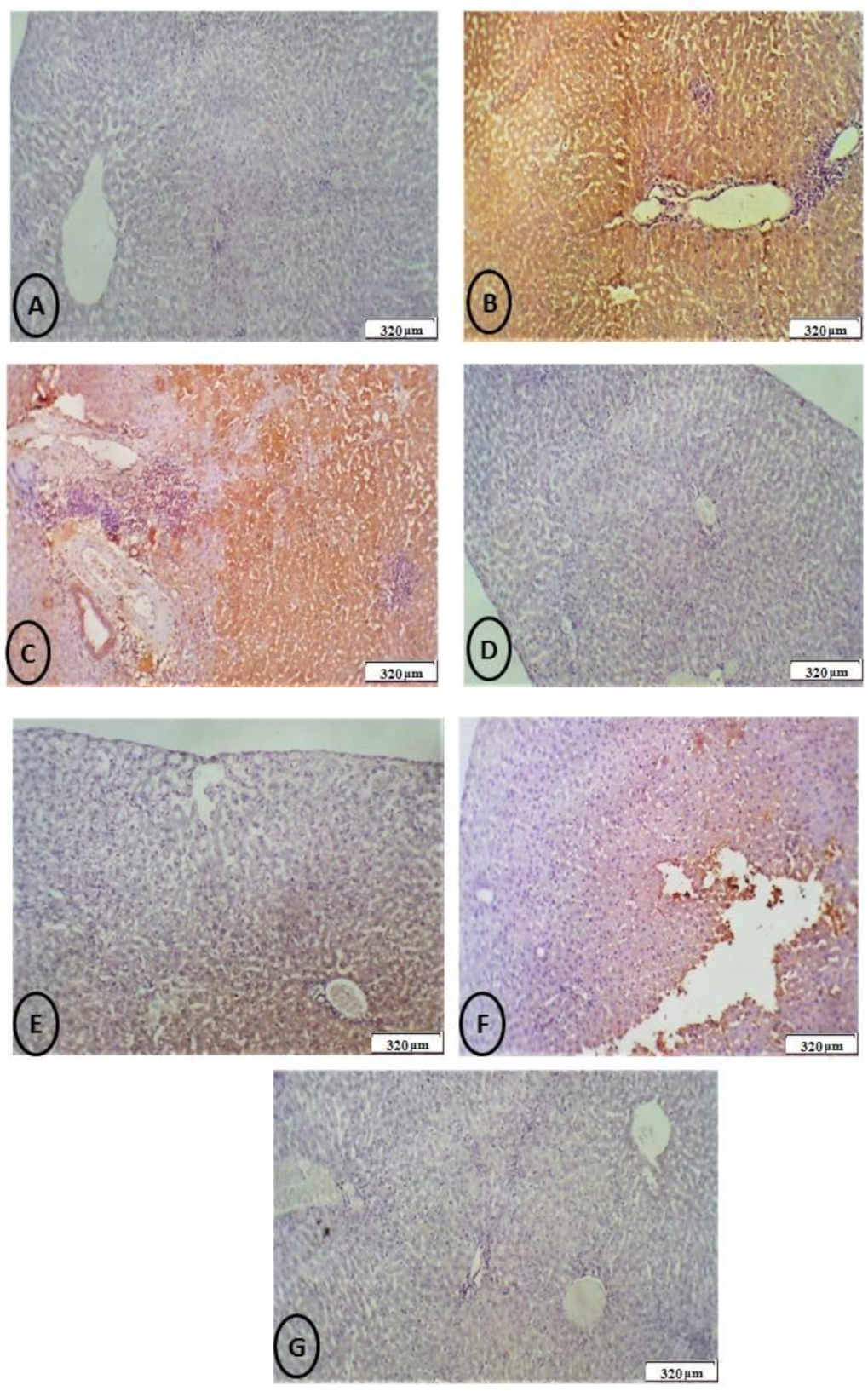 Biology 11 00450 g011 550
