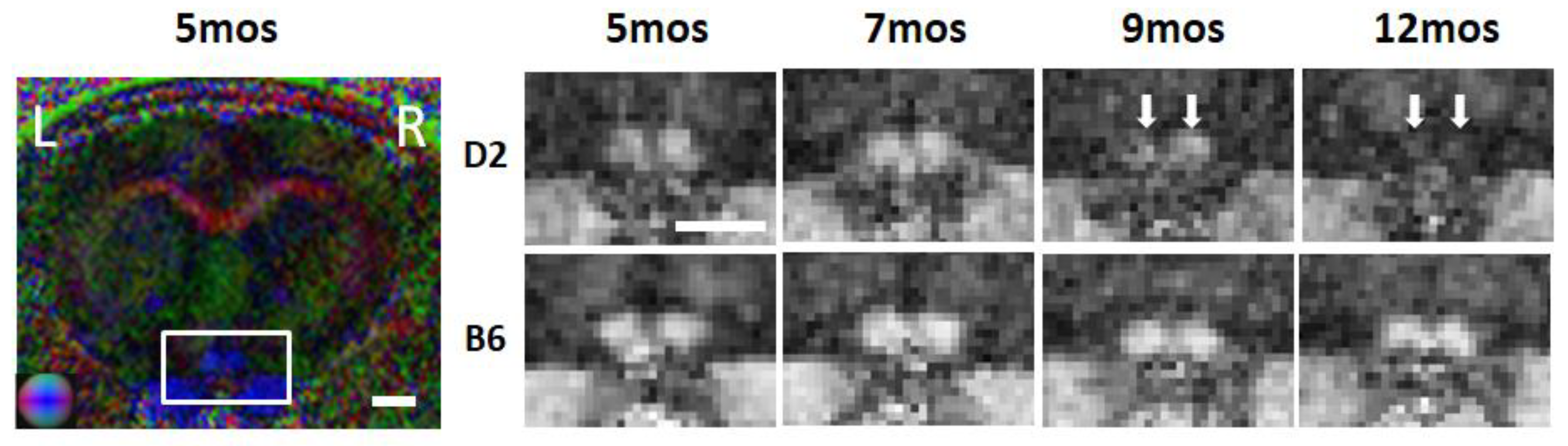 Biology 11 00454 g005 Biology 11 00454 g005
