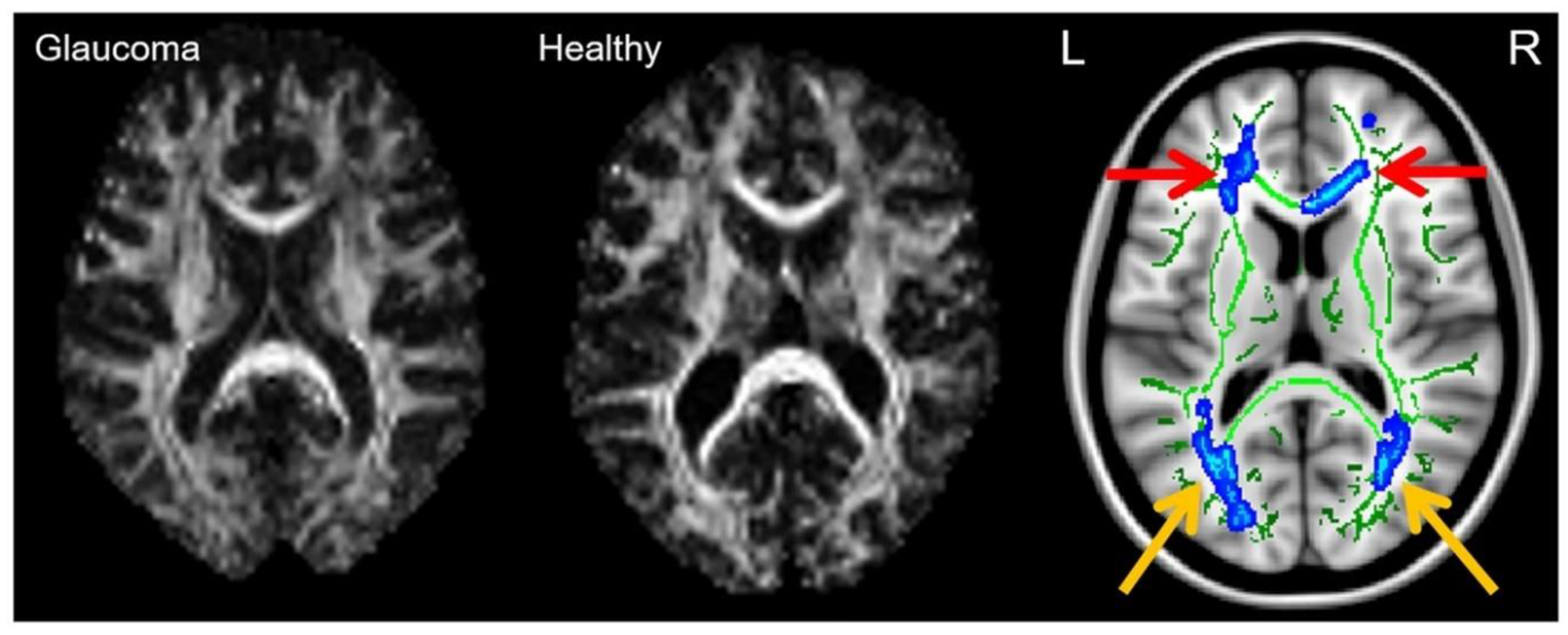 Biology 11 00454 g007 Biology 11 00454 g007