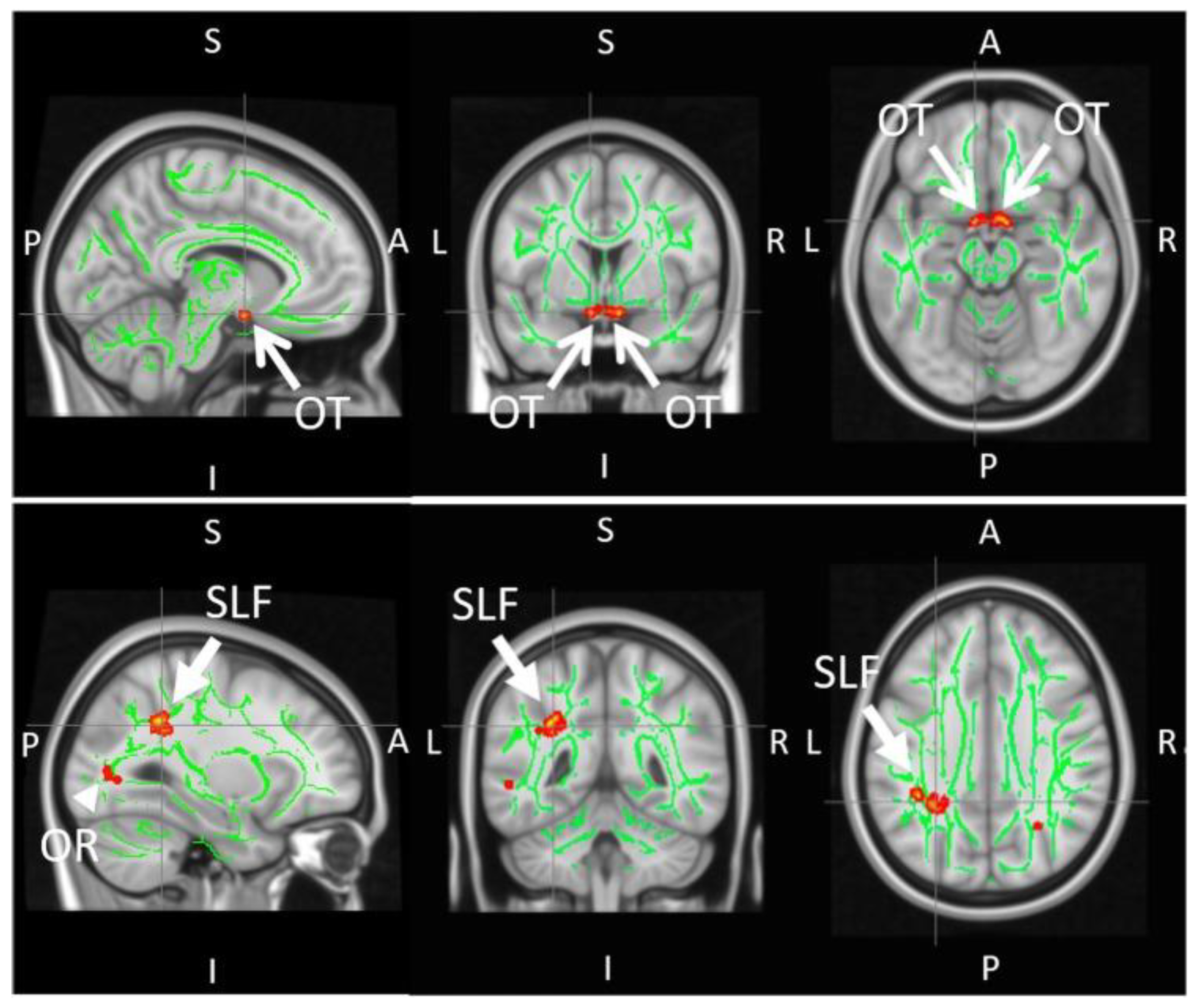 Biology 11 00454 g009 Biology 11 00454 g009