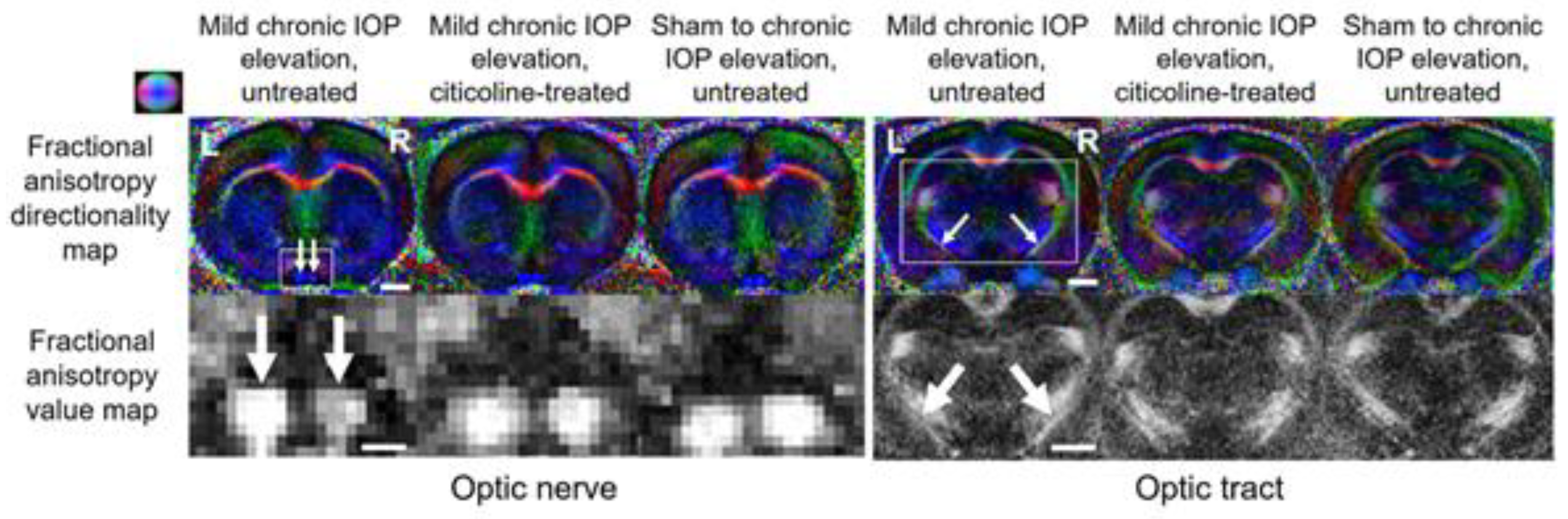 Biology 11 00454 g010 Biology 11 00454 g010