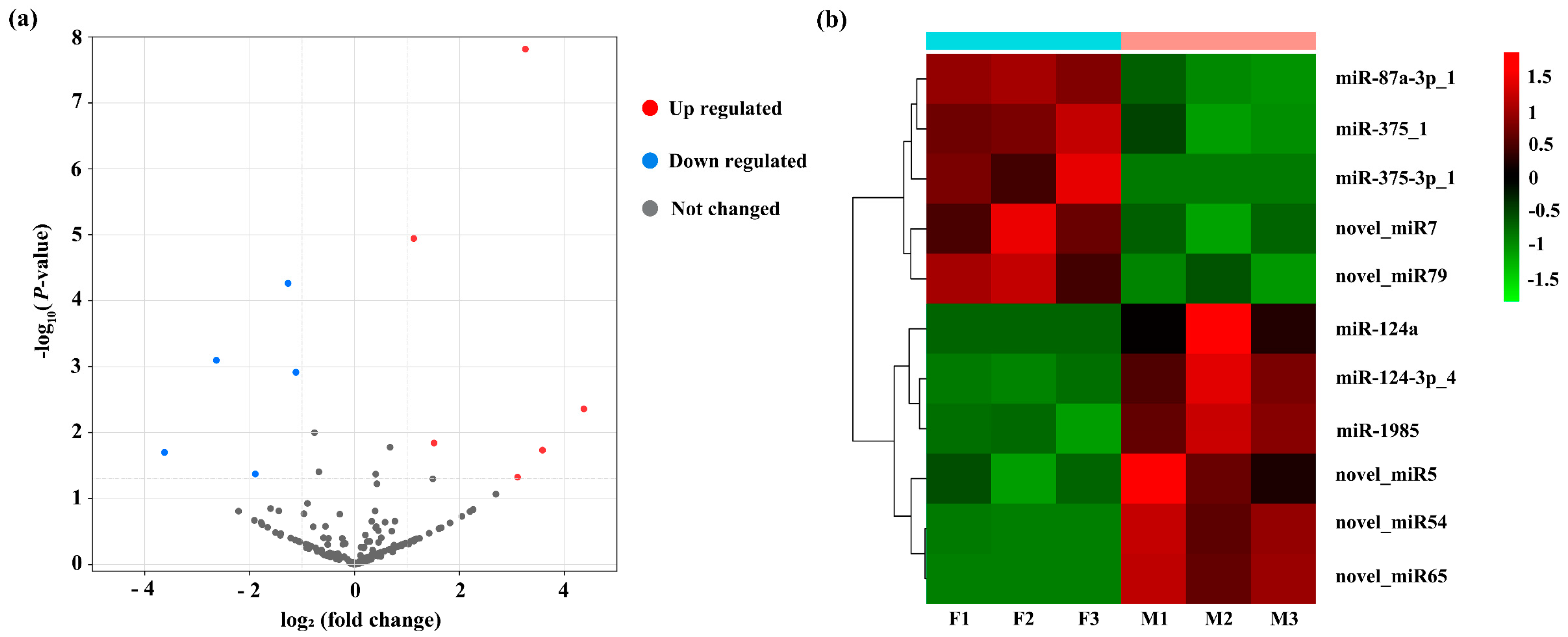 Biology 11 00456 g004