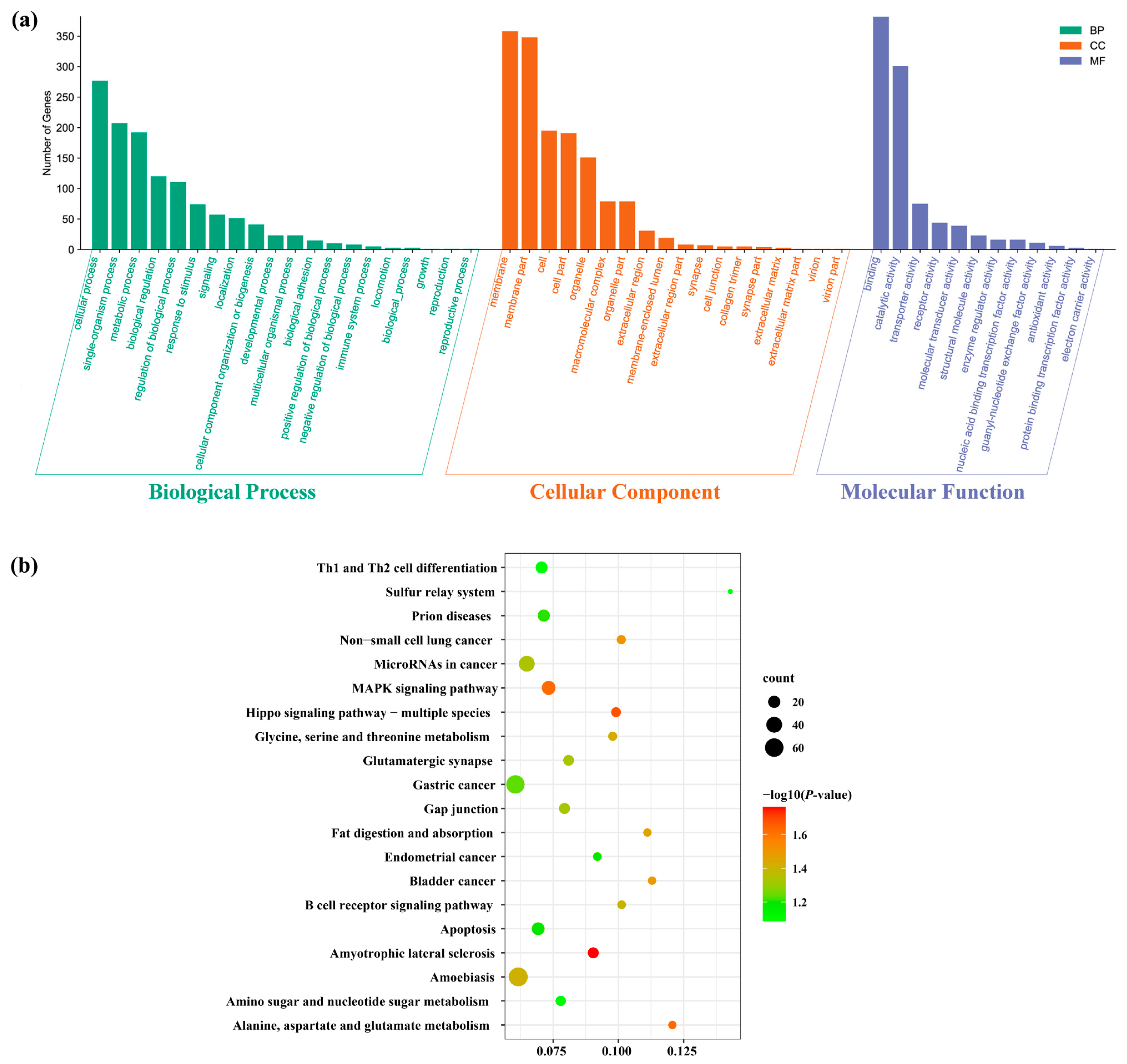 Biology 11 00456 g005
