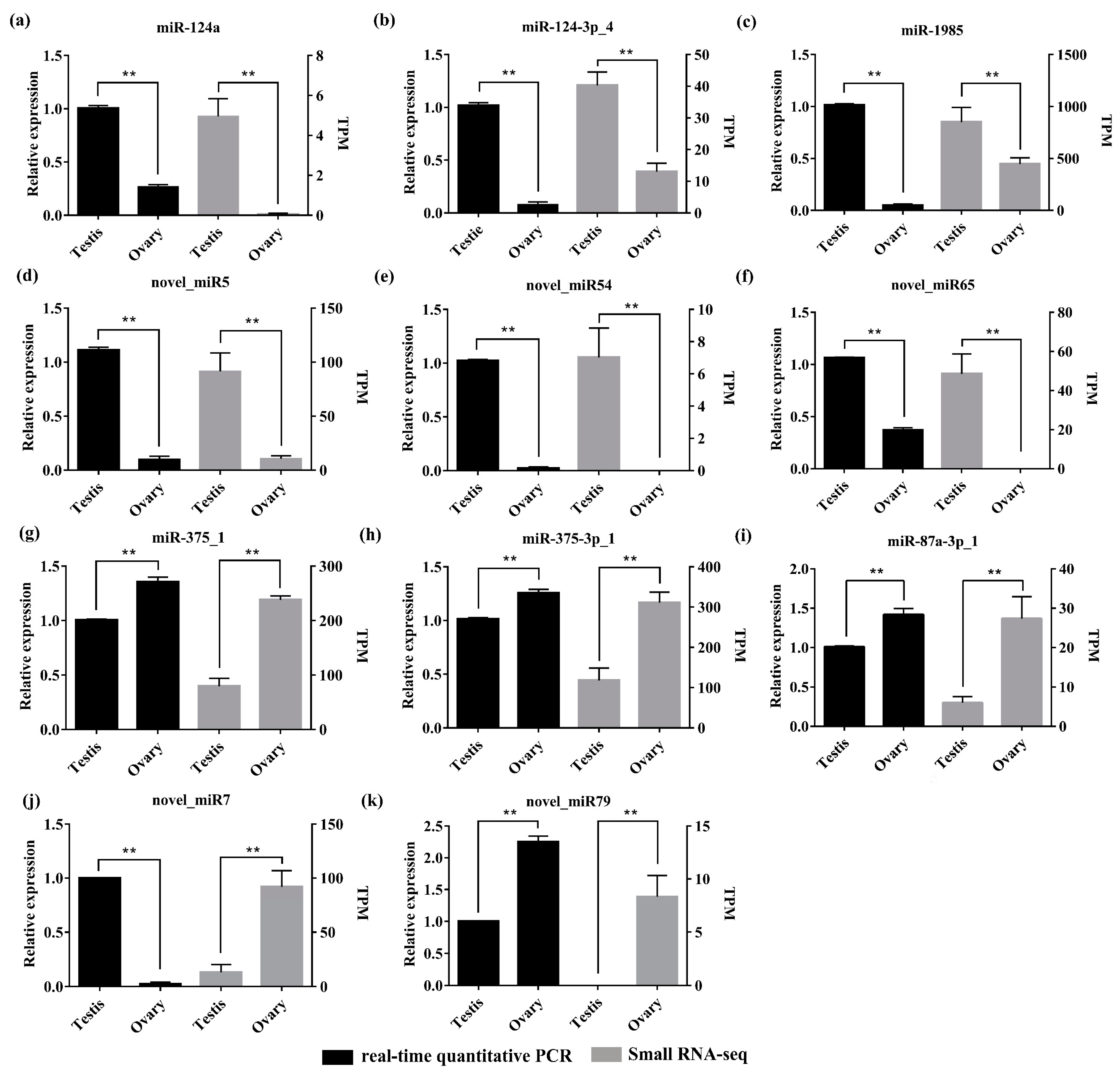 Biology 11 00456 g006