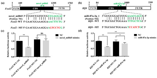 超歓迎 Identification Involving MicroRNAs of Characterization and Nintendo Switch