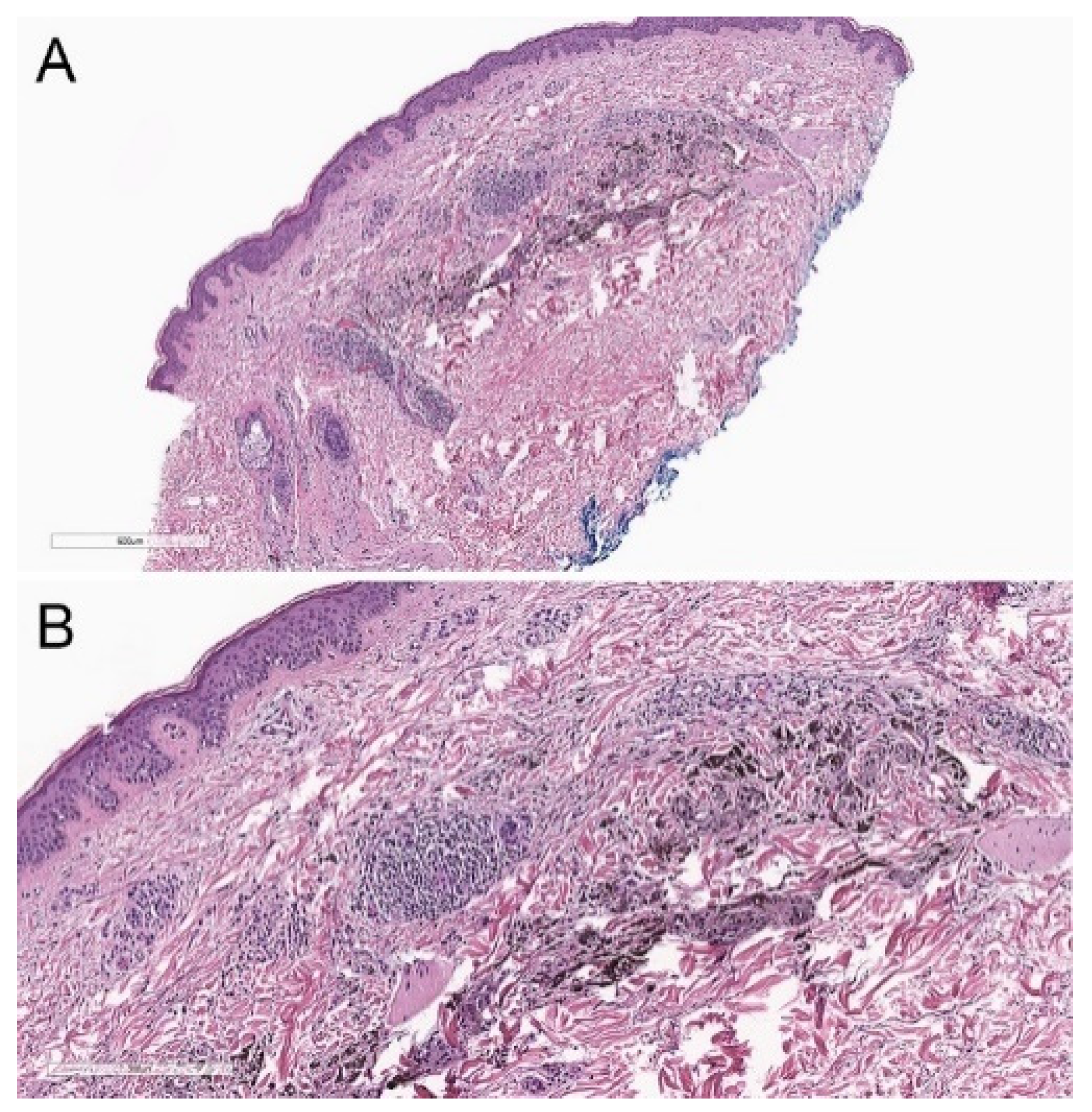 Biology 11 00460 g003