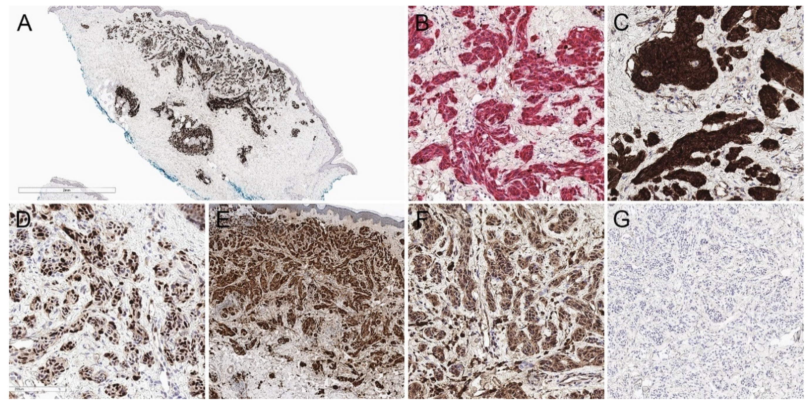 Biology 11 00460 g004