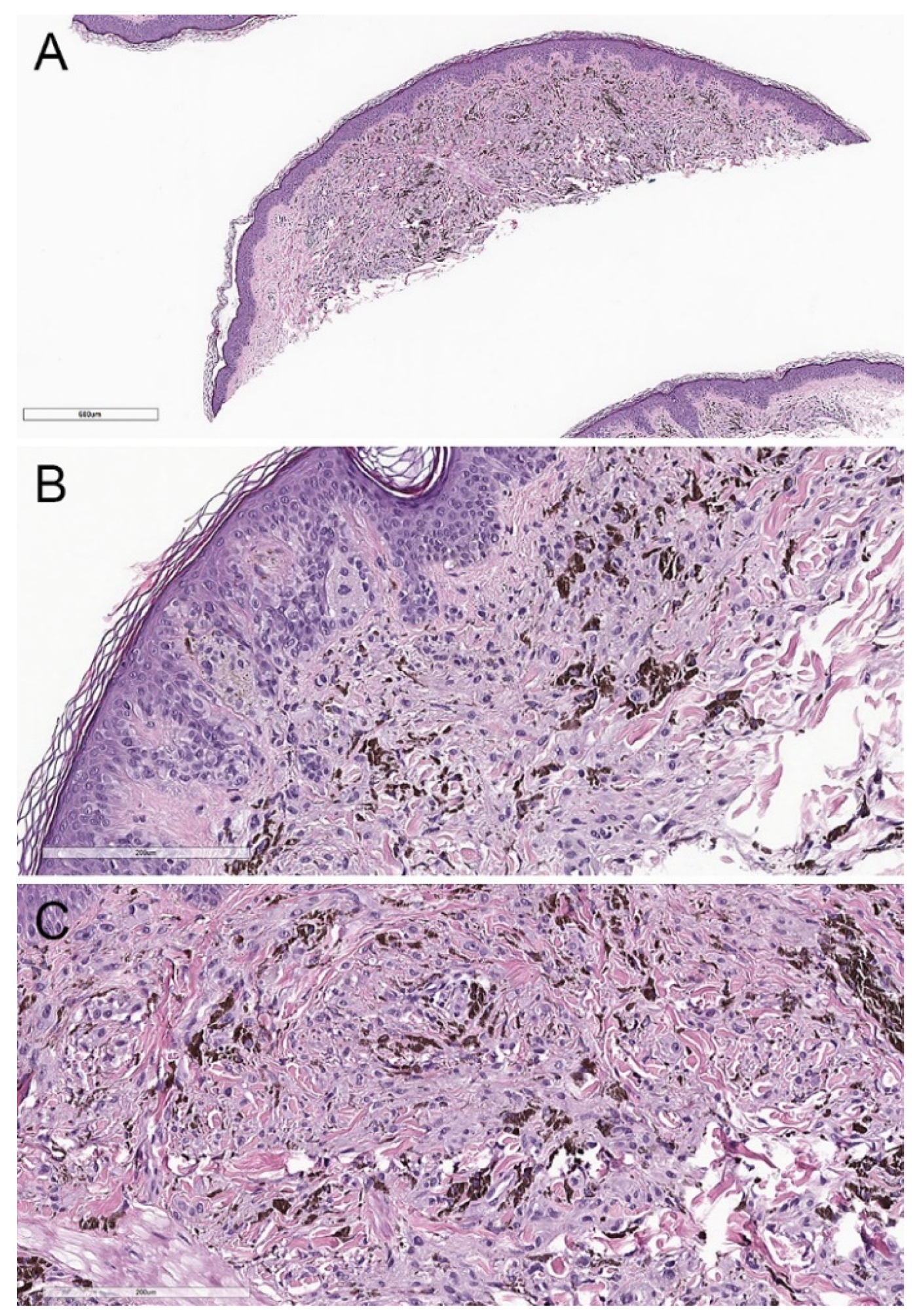 Biology 11 00460 g005