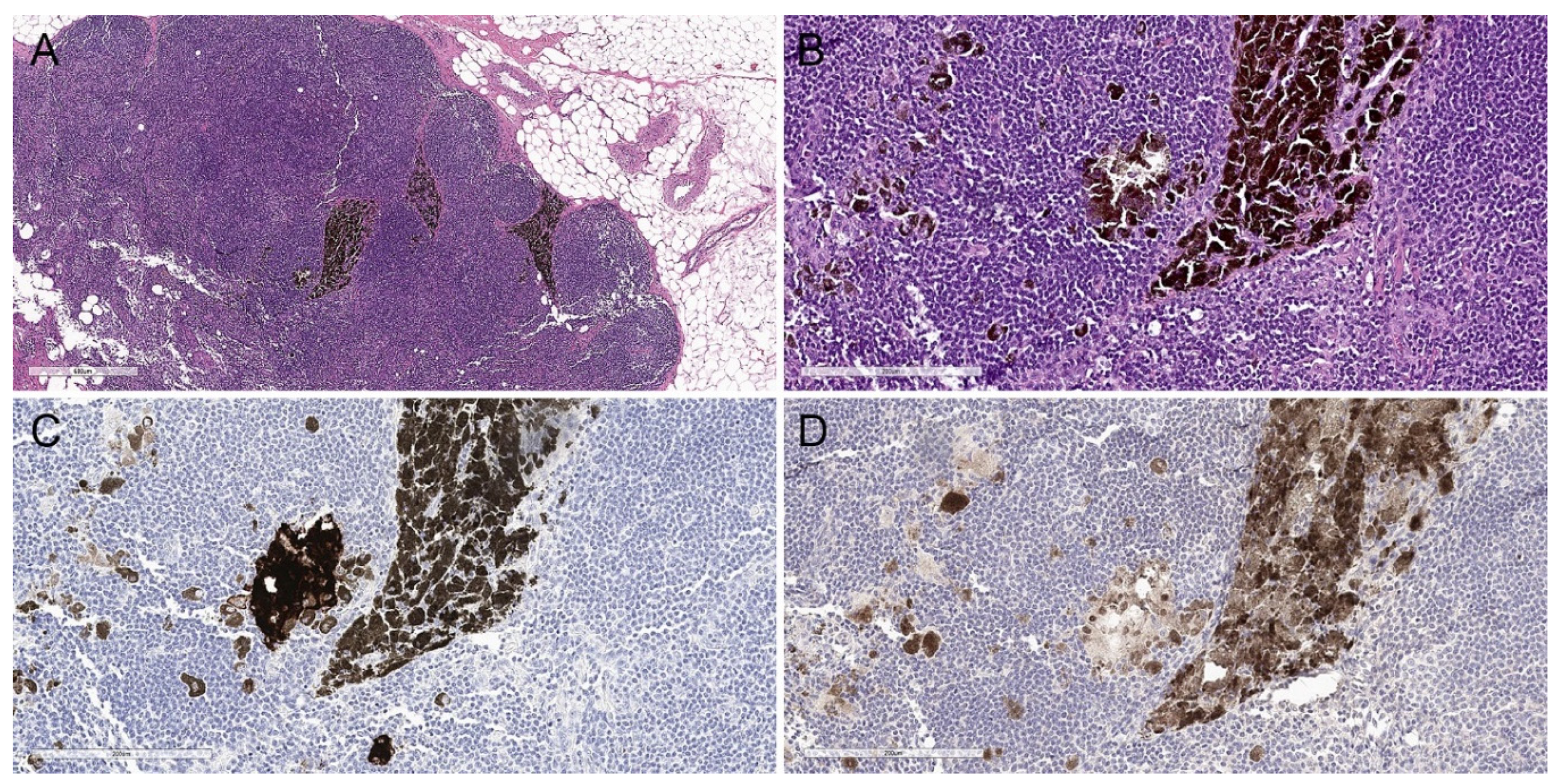 Biology 11 00460 g006