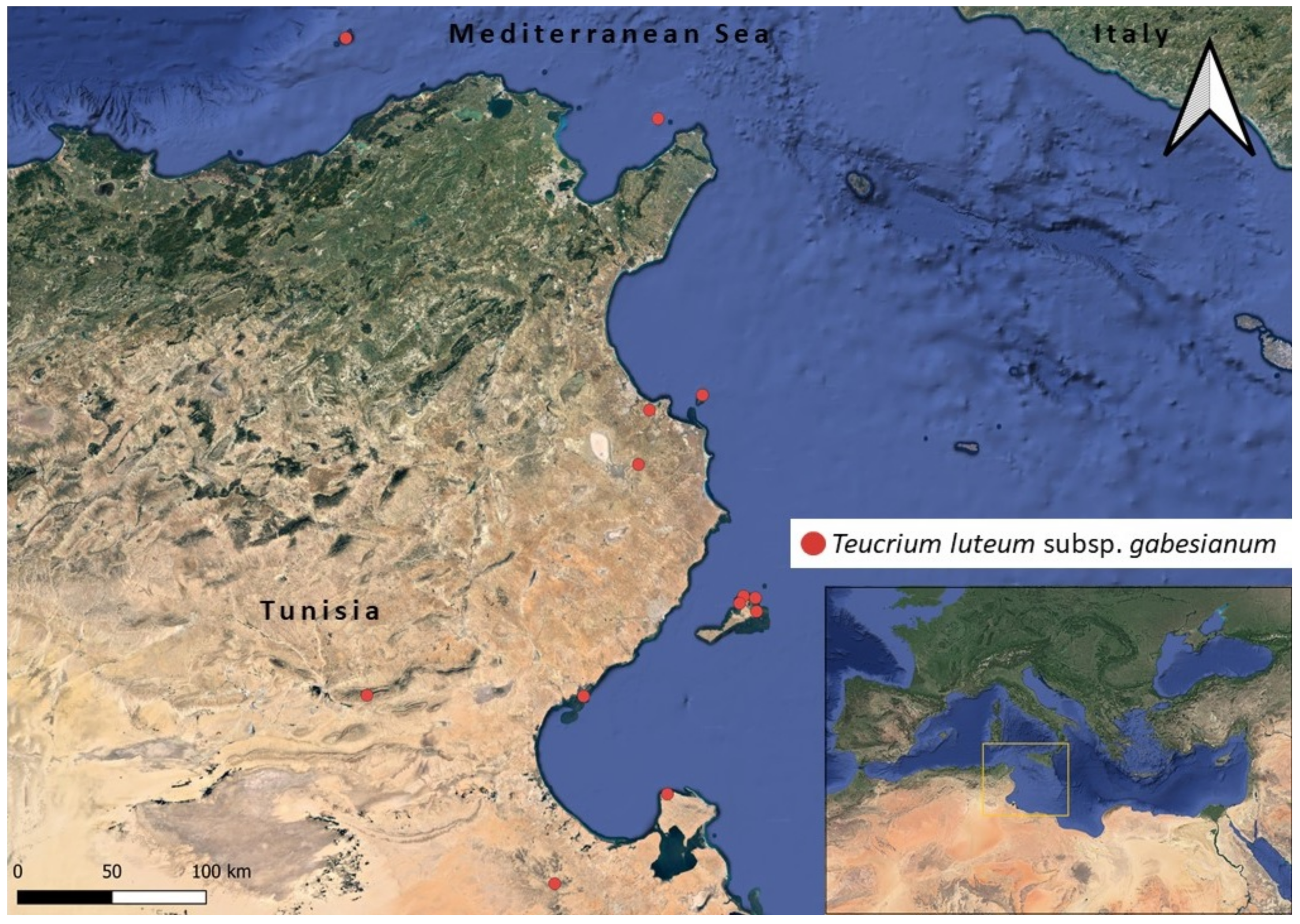 Biology 11 00462 g001