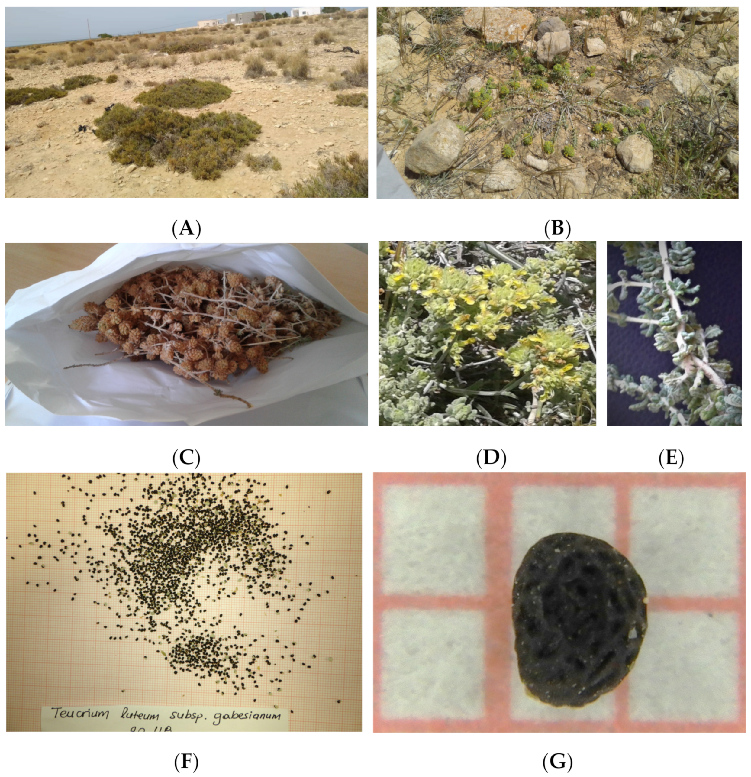 Biology 11 00462 g002