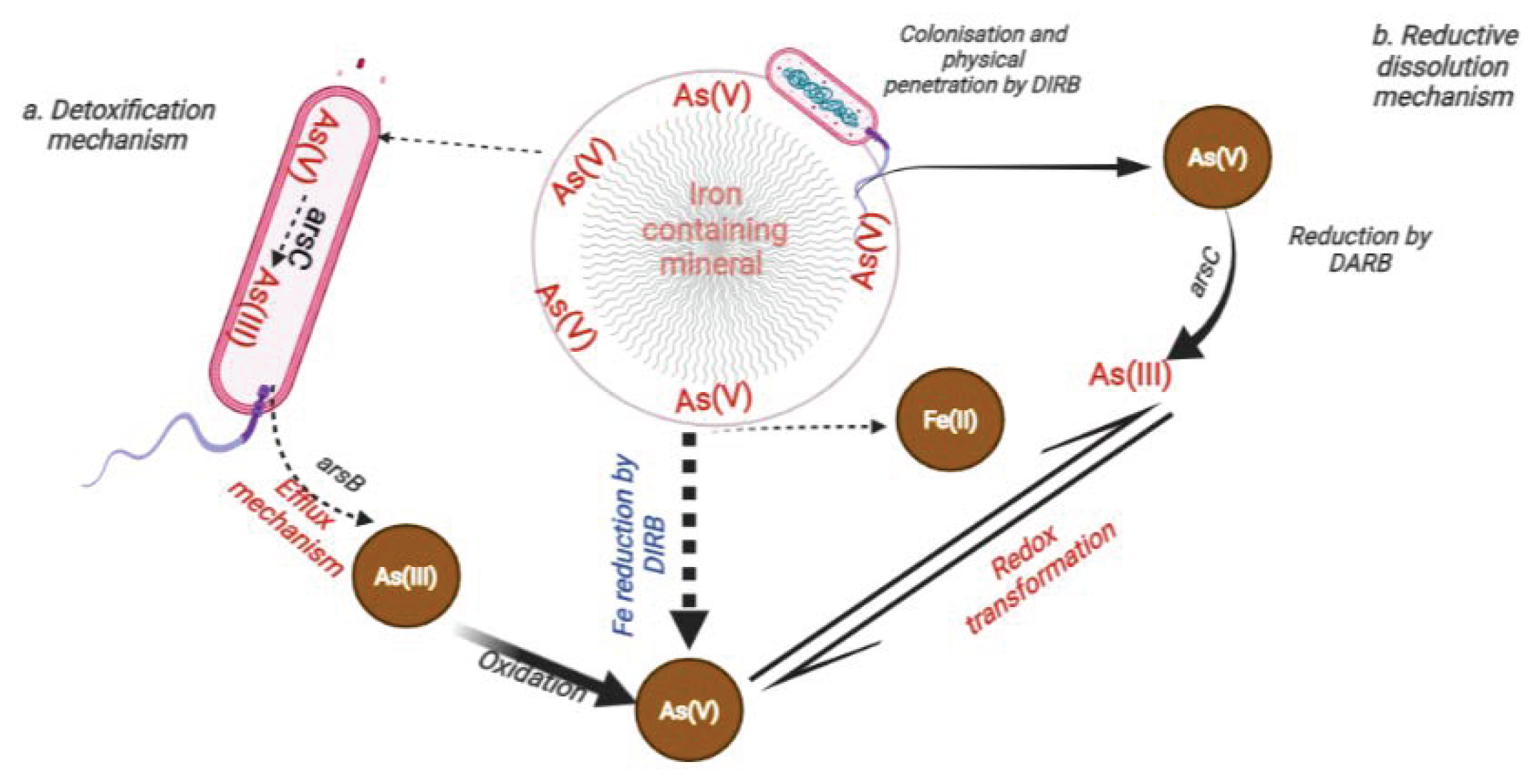 Biology 11 00472 g002 Biology 11 00472 g002