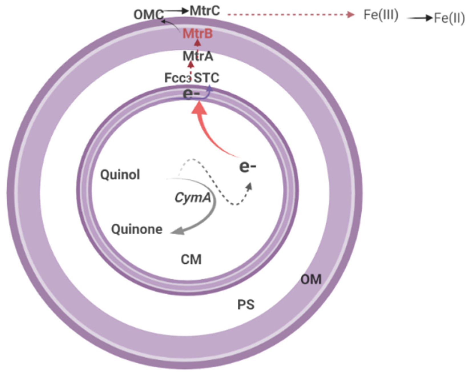 Biology 11 00472 g005 Biology 11 00472 g005