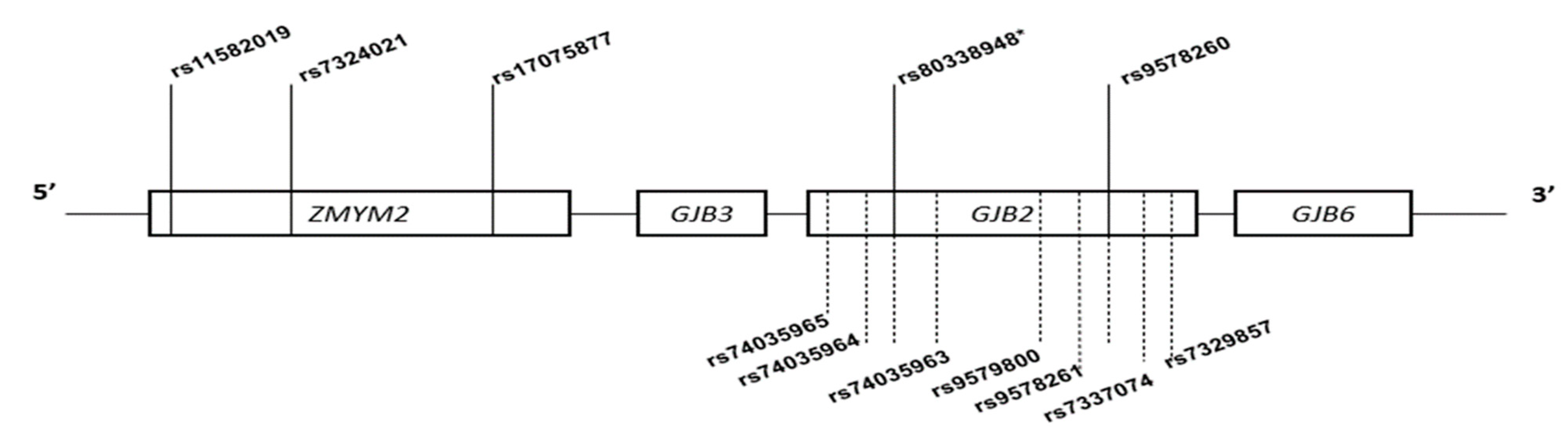 Biology 11 00476 g001 Biology 11 00476 g001