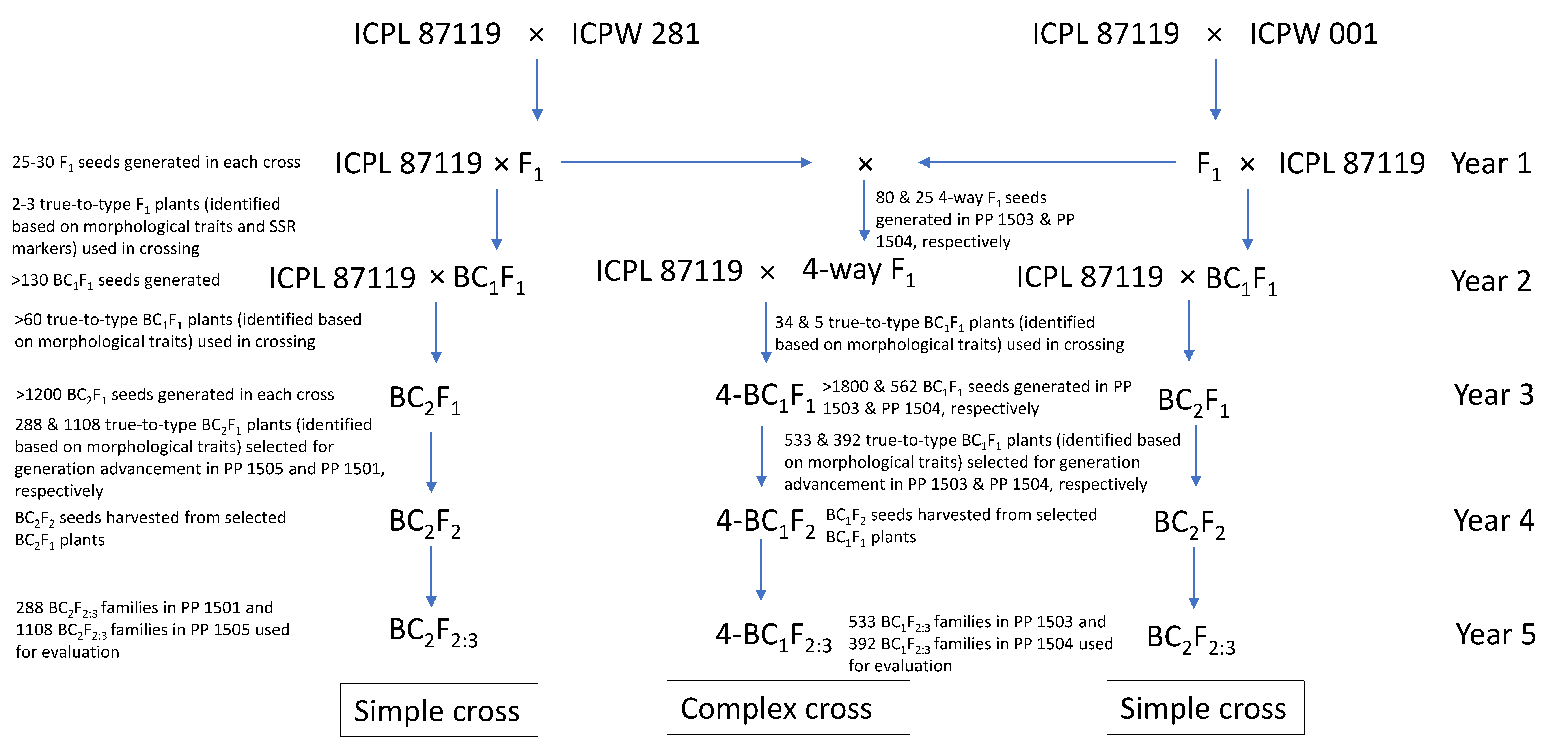 Biology 11 00485 g001 550