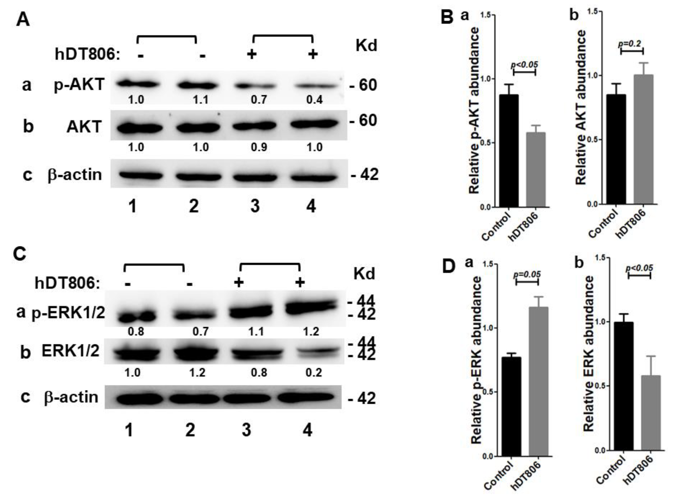 Biology 11 00486 g003