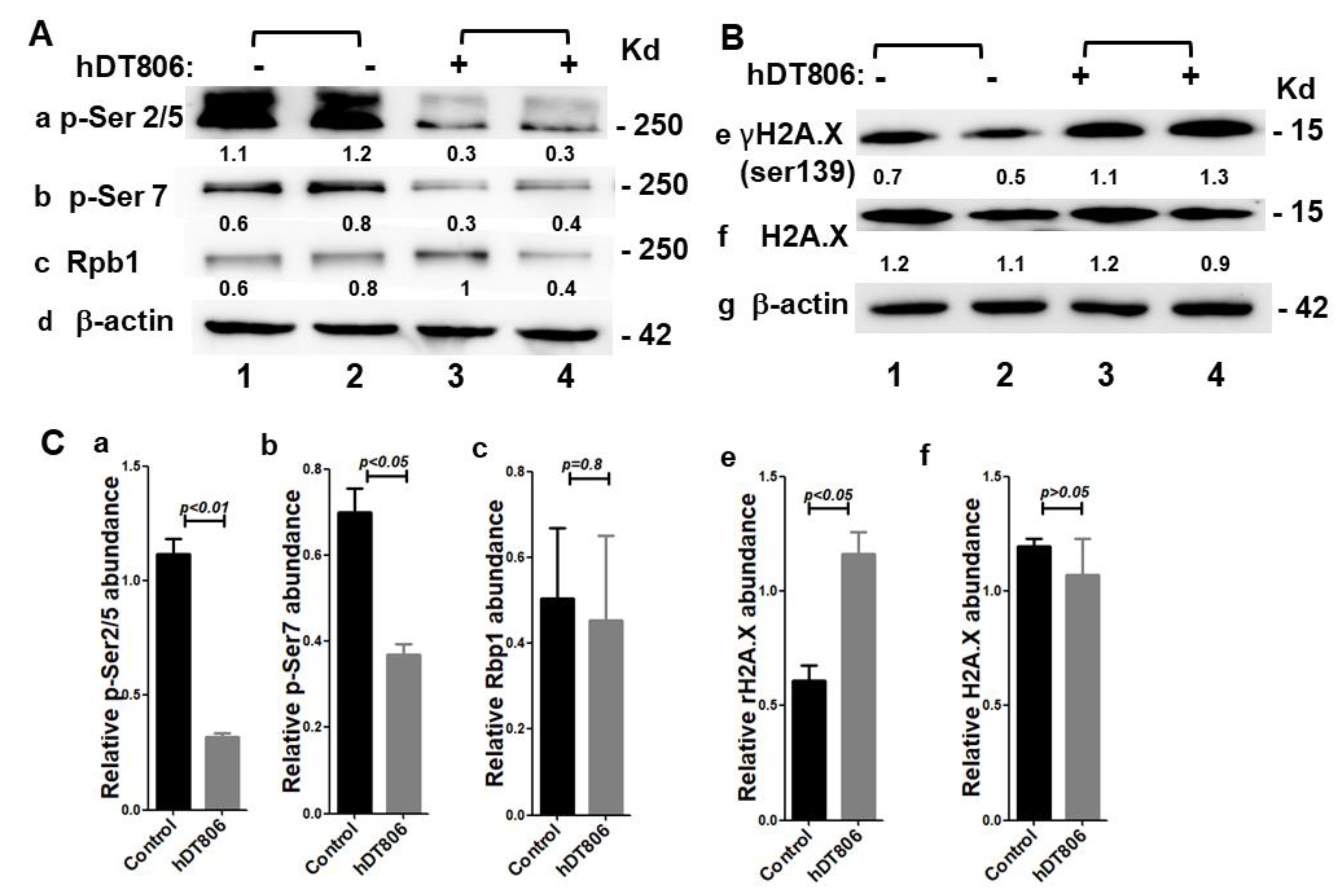 Biology 11 00486 g004