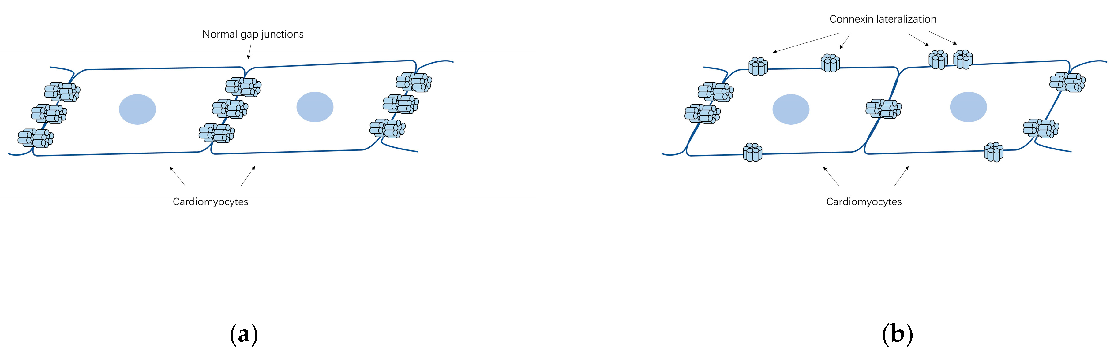 Biology 11 00489 g002 Biology 11 00489 g002