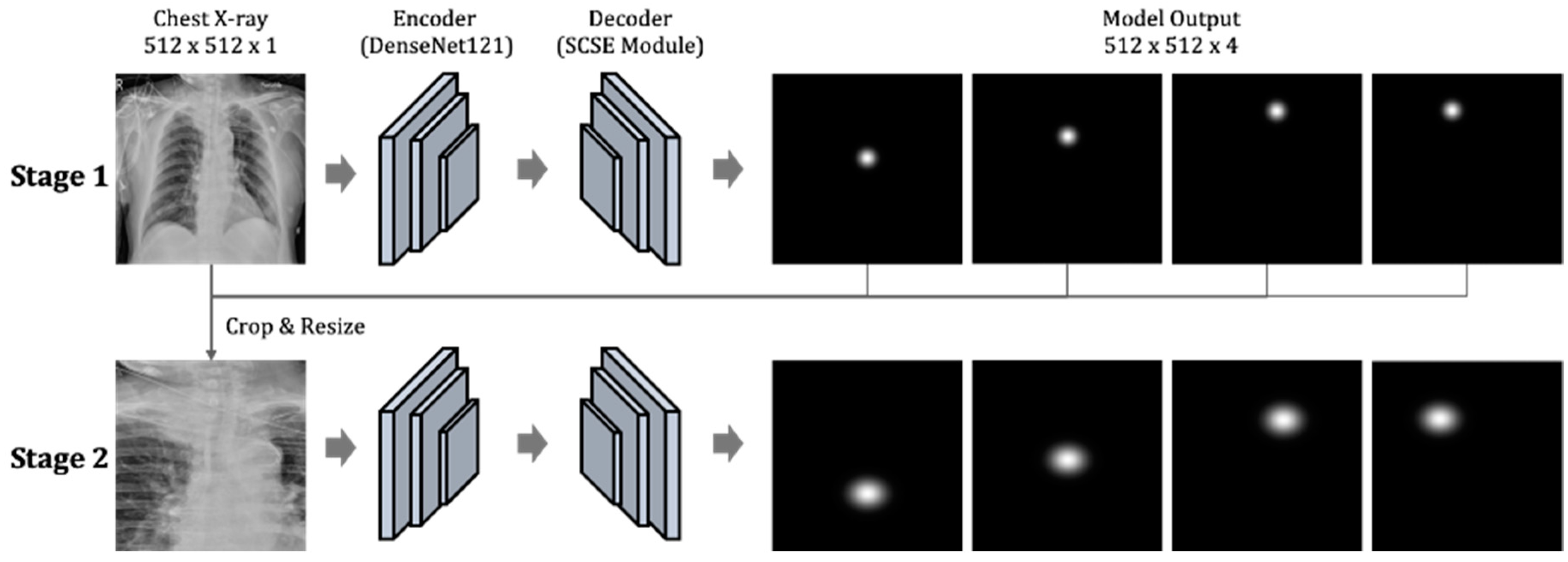 Biology 11 00490 g002