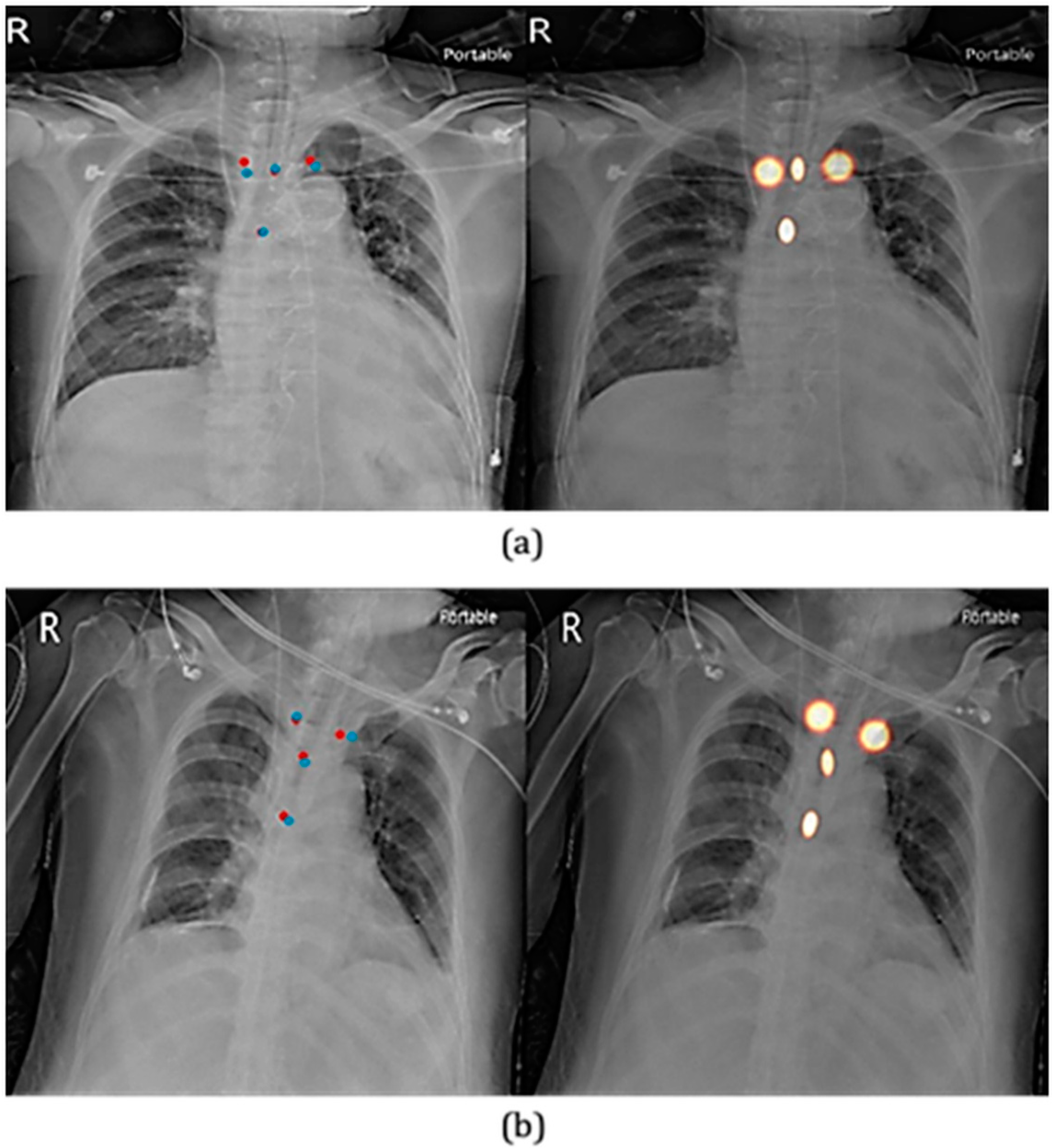 Biology 11 00490 g004