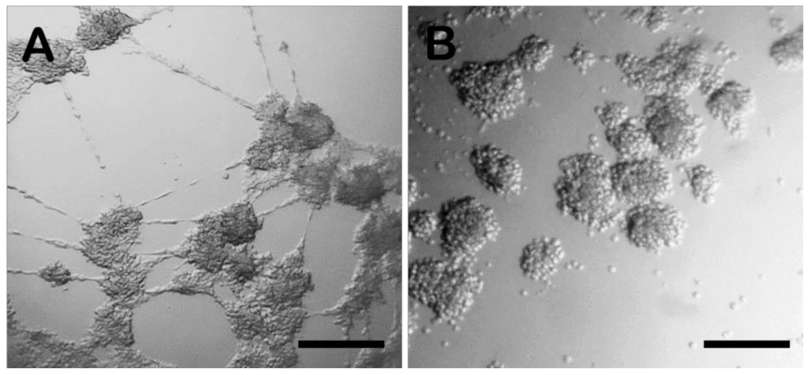 Biology 11 00492 g001