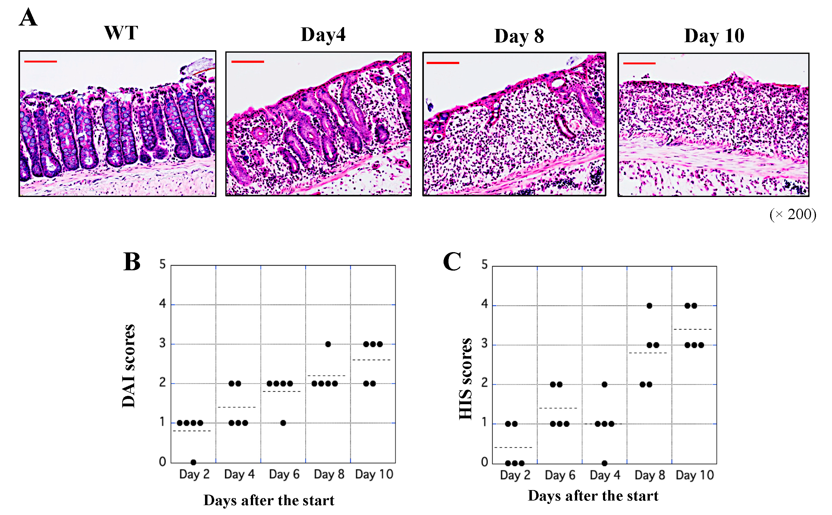 Biology 11 00494 g002 Biology 11 00494 g002