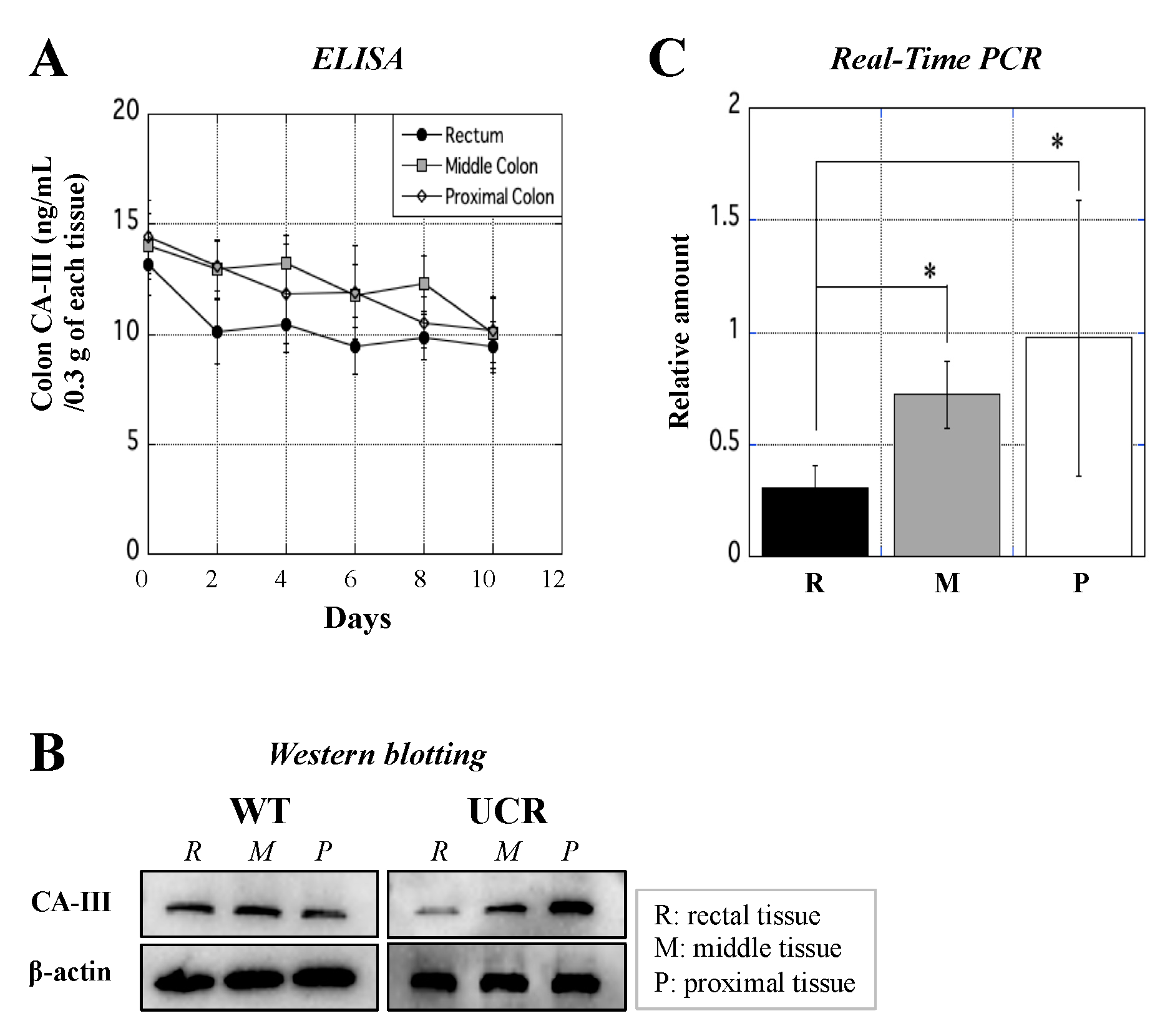 Biology 11 00494 g006 Biology 11 00494 g006