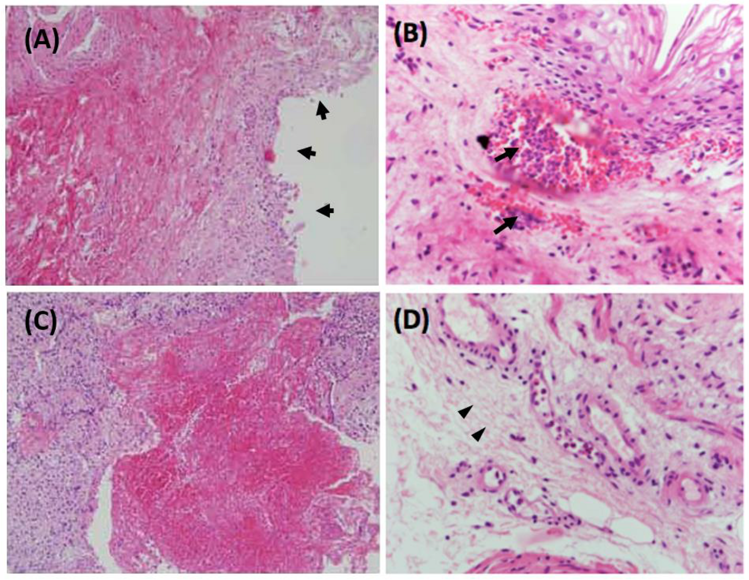 Biology 11 00502 g001