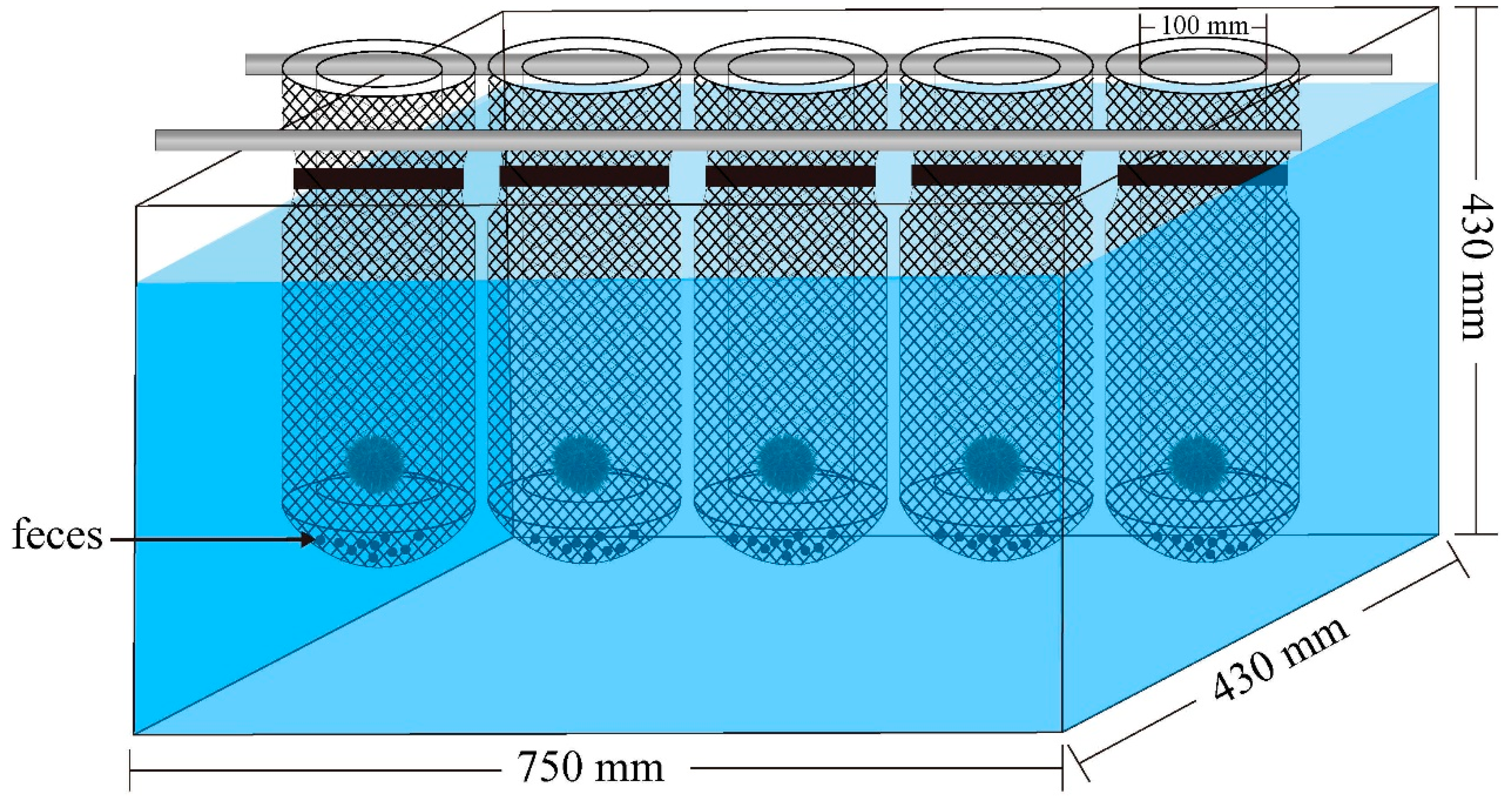 Biology 11 00503 g001