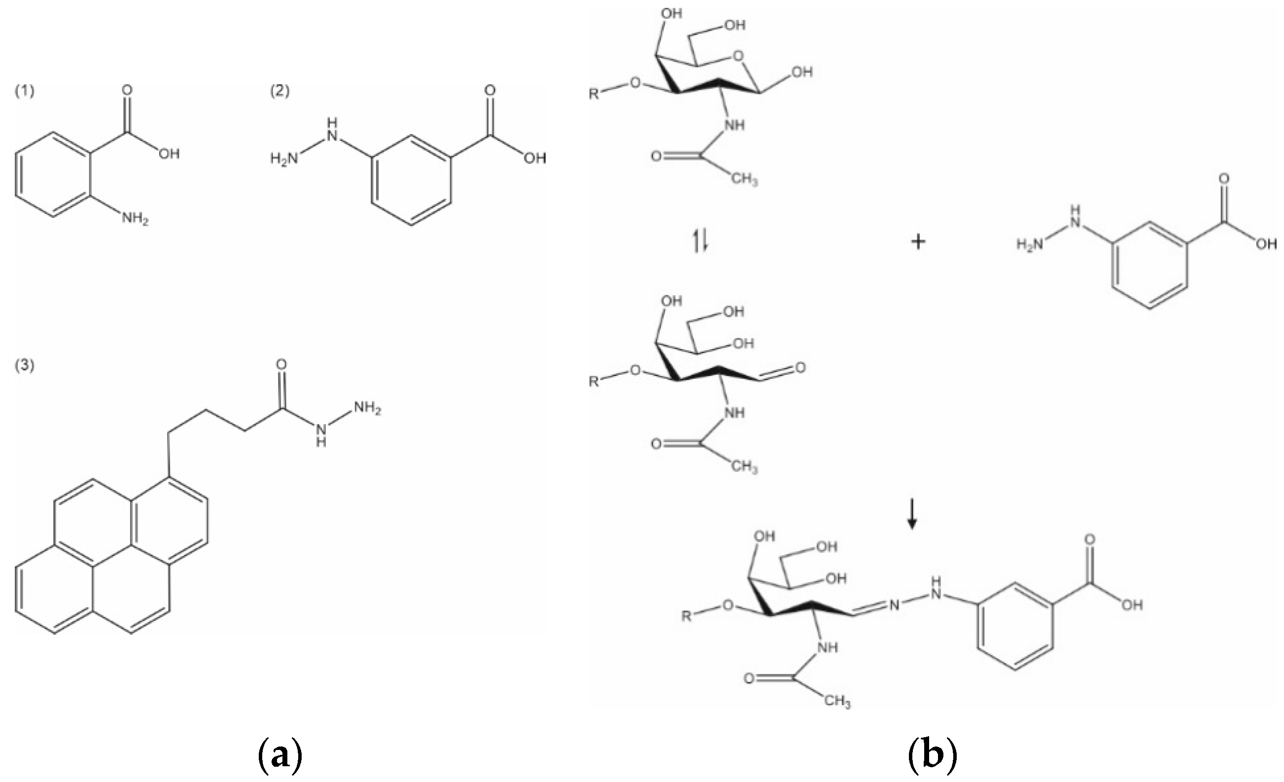 Biology 11 00506 g001