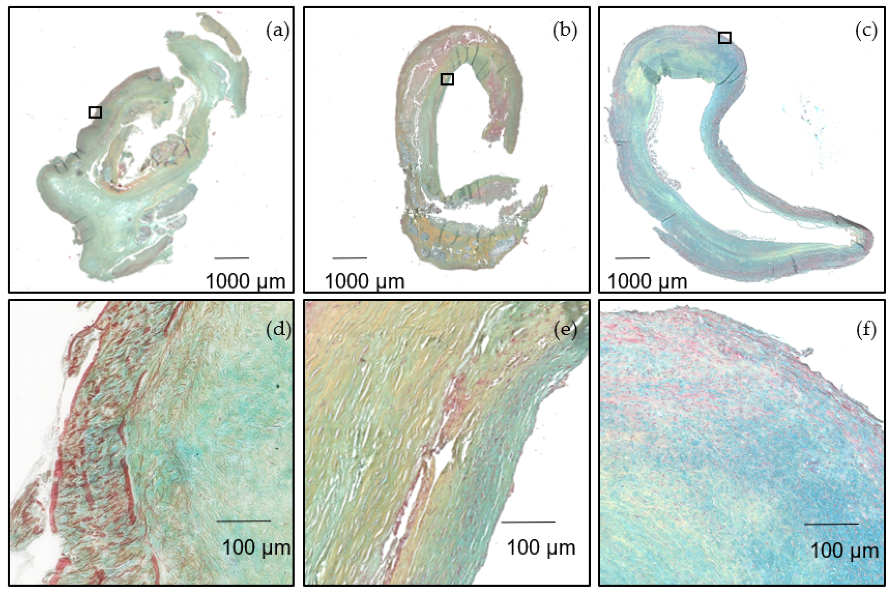 Biology 11 00506 g007