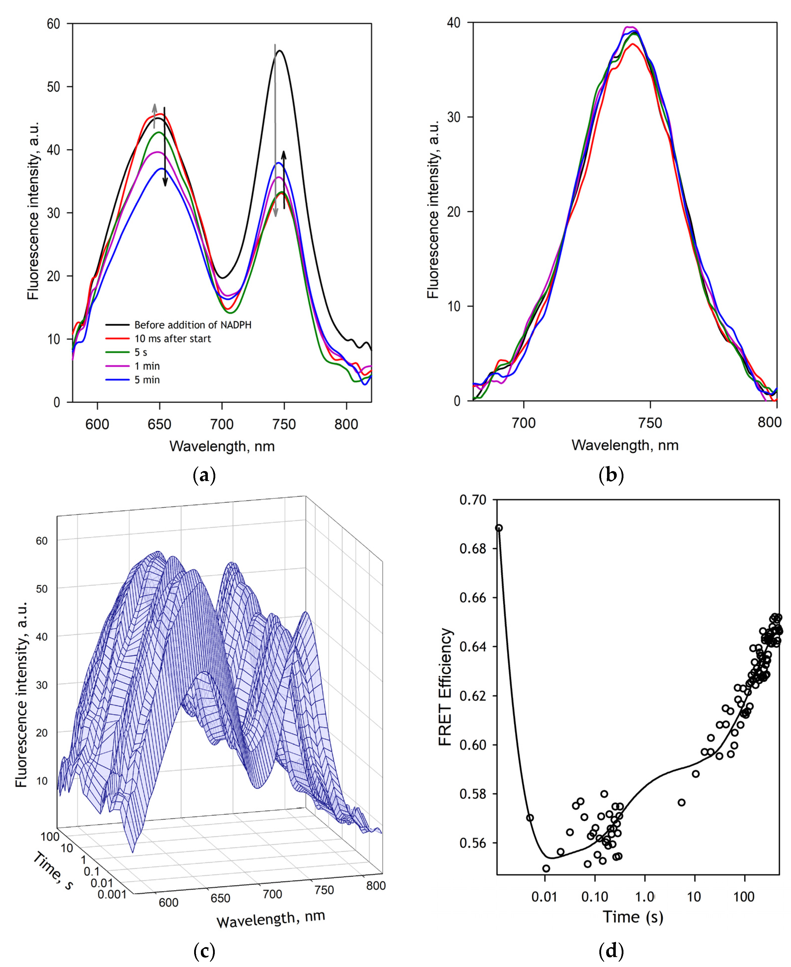 Biology 11 00510 g004 550