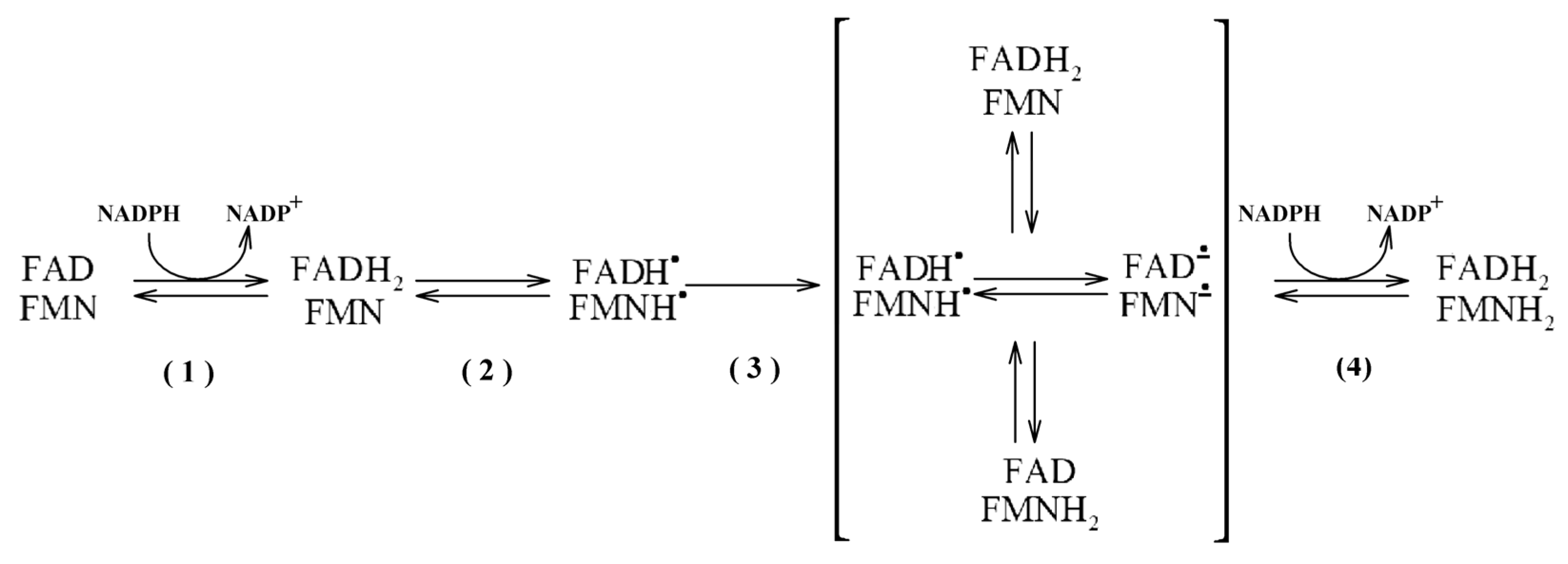Biology 11 00510 sch001 550