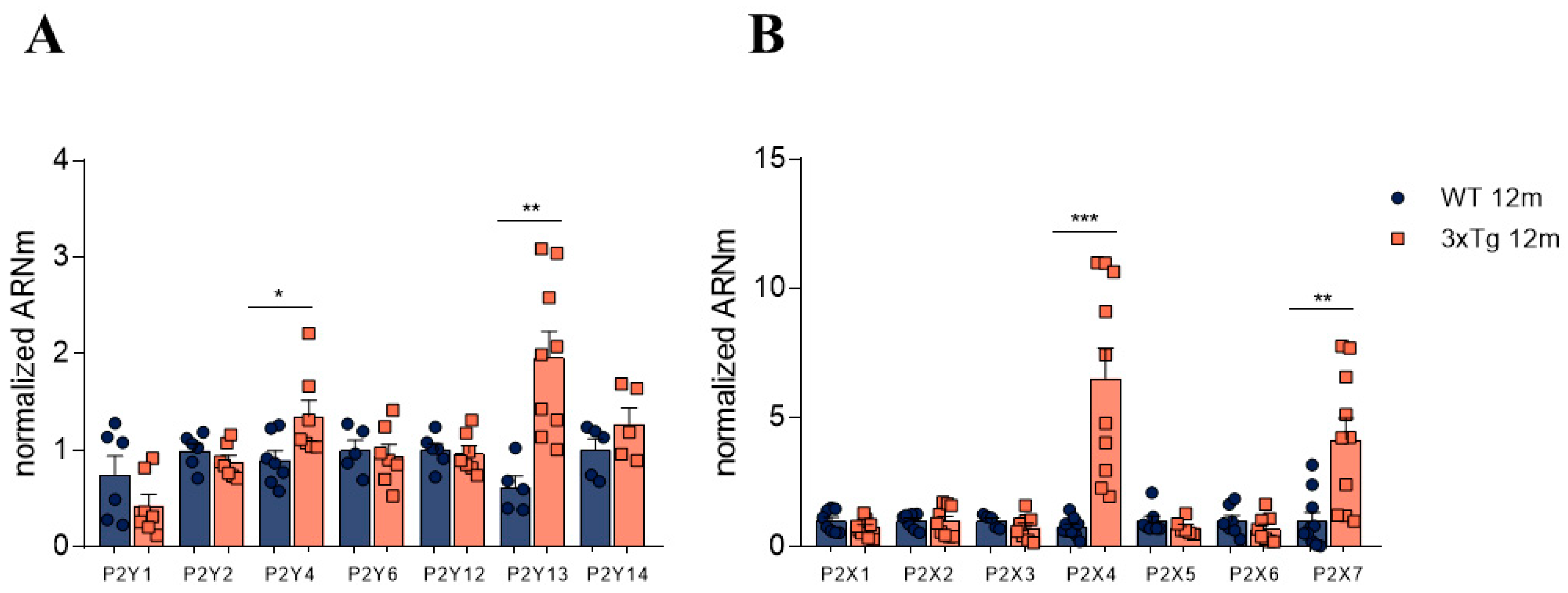 Biology 11 00511 g002