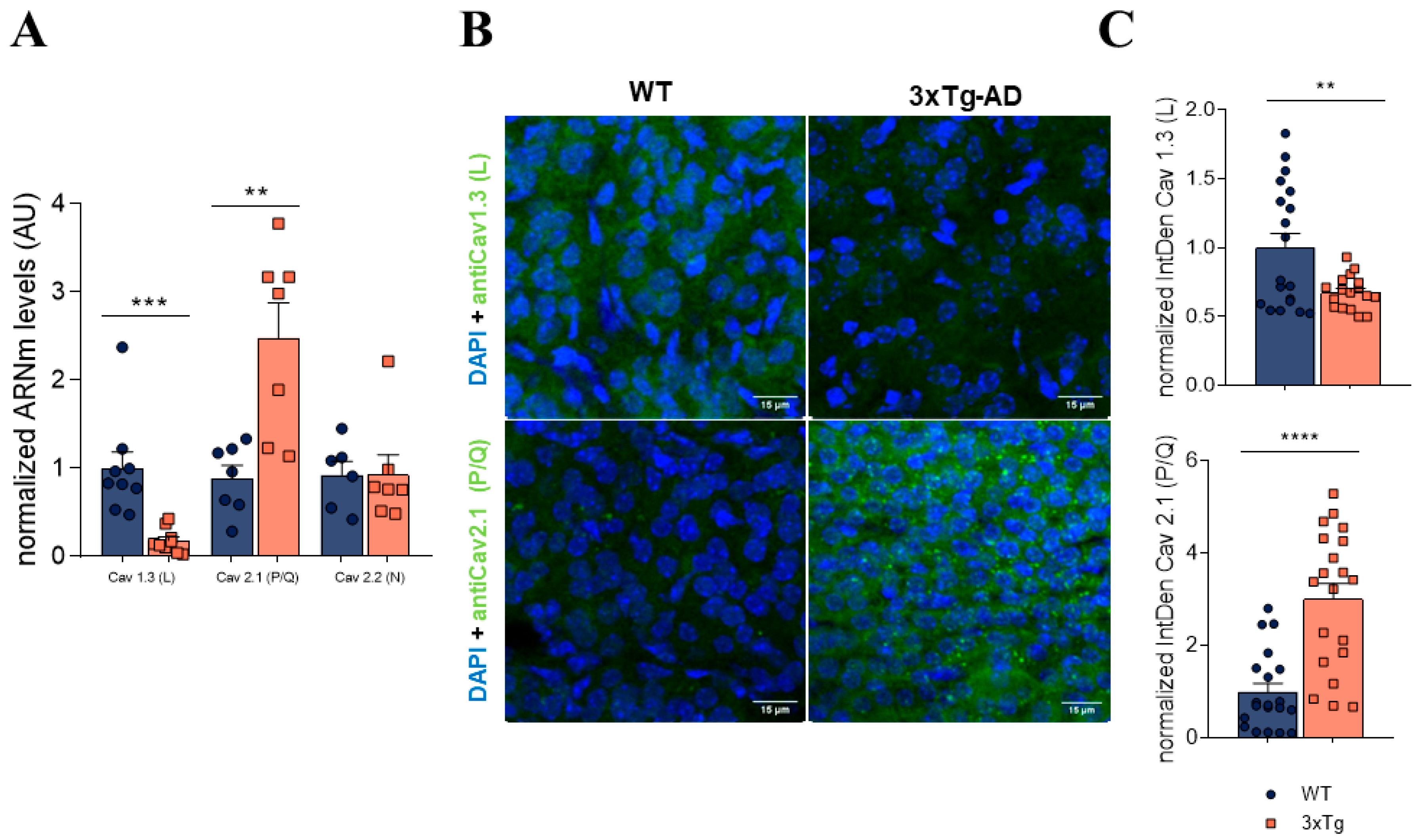 Biology 11 00511 g004