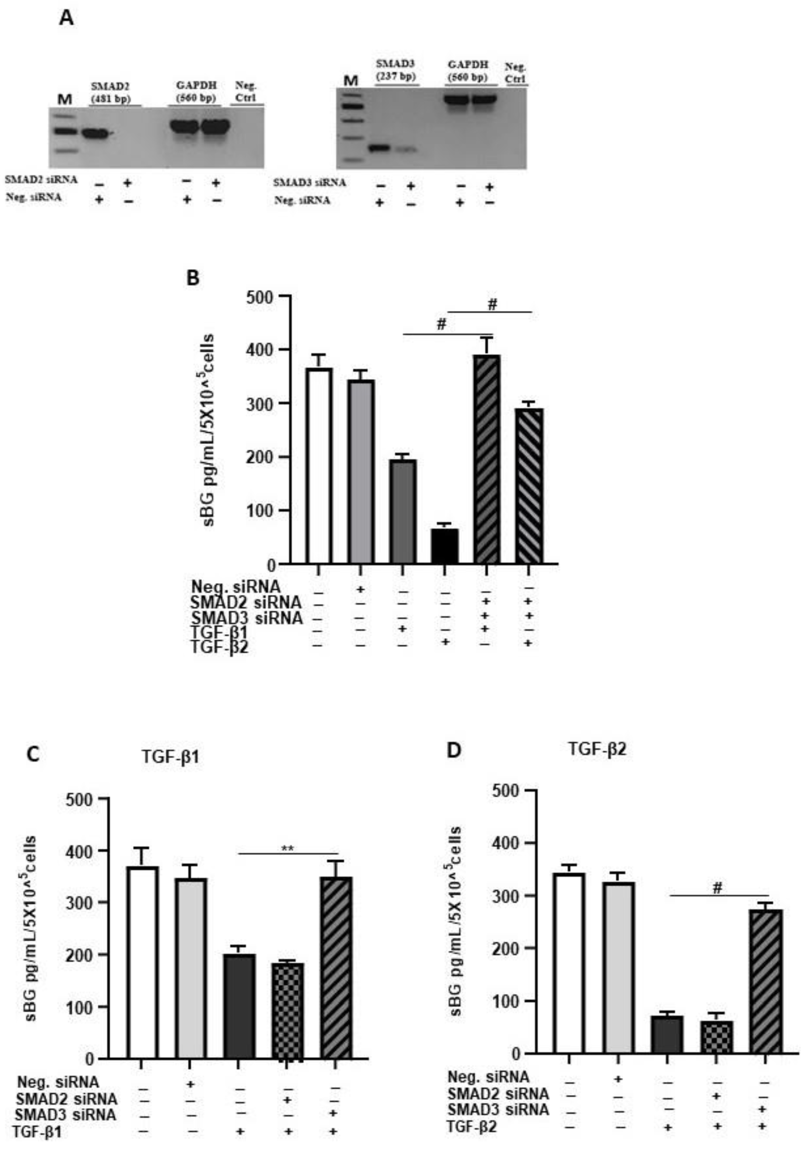 Biology 11 00513 g003