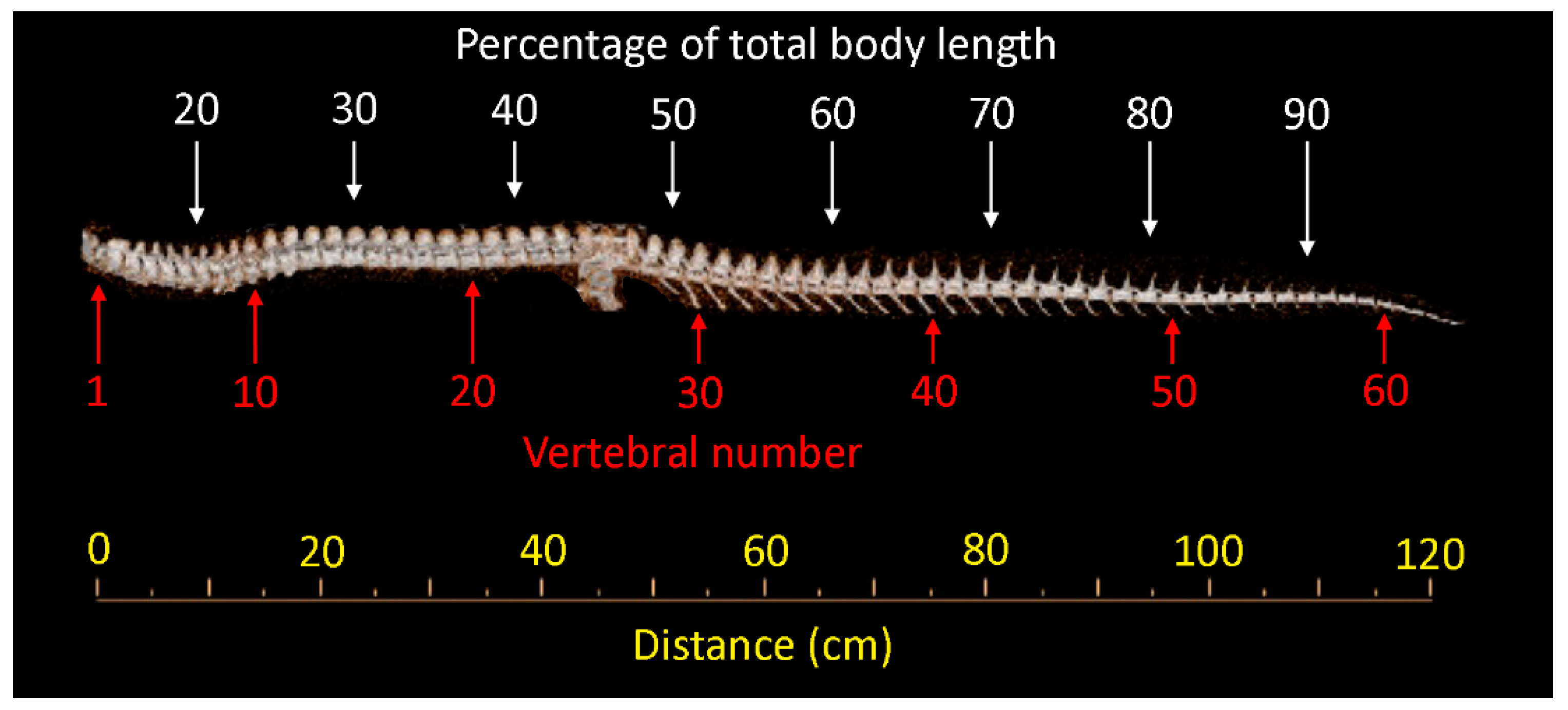 Biology 11 00514 g004