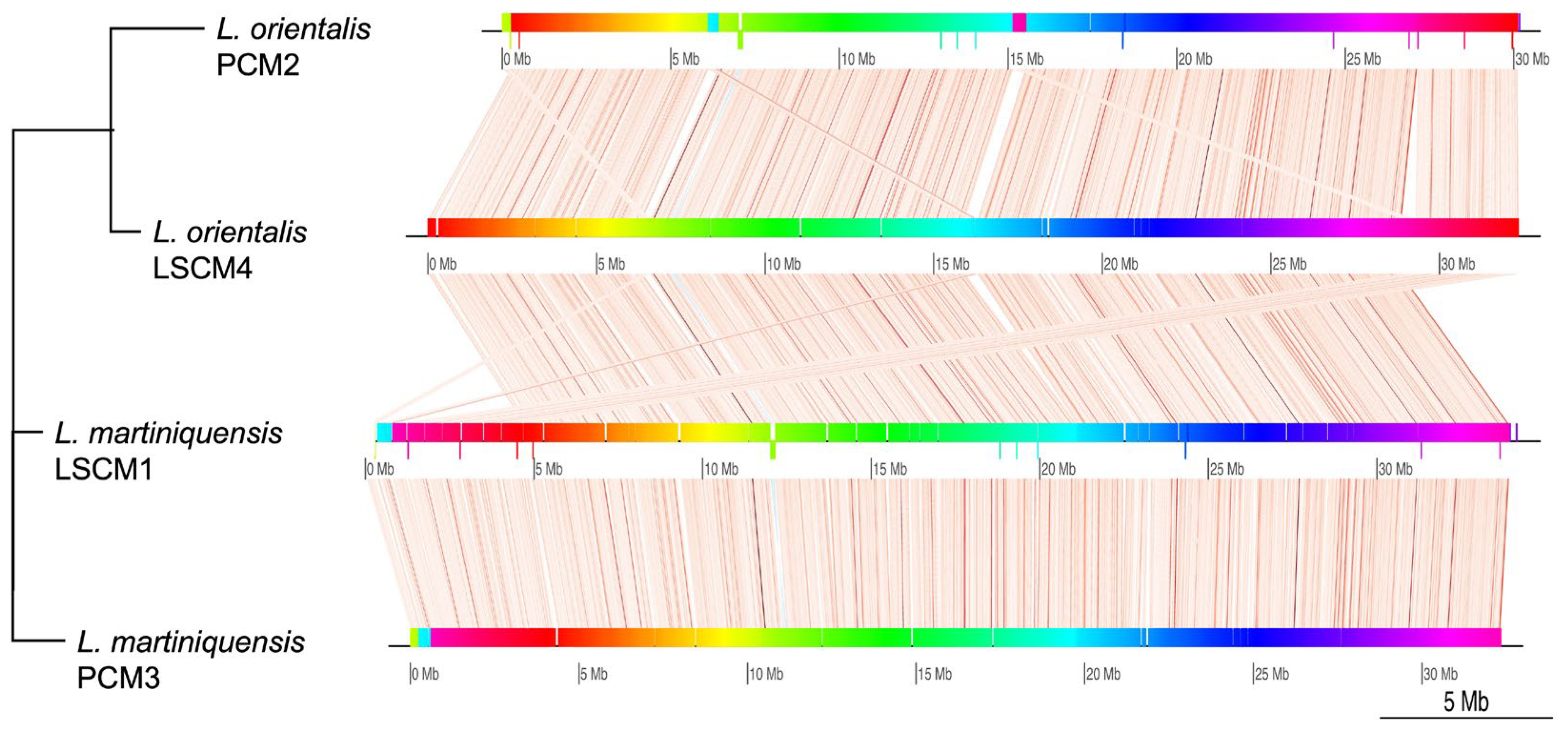 Biology 11 00515 g001