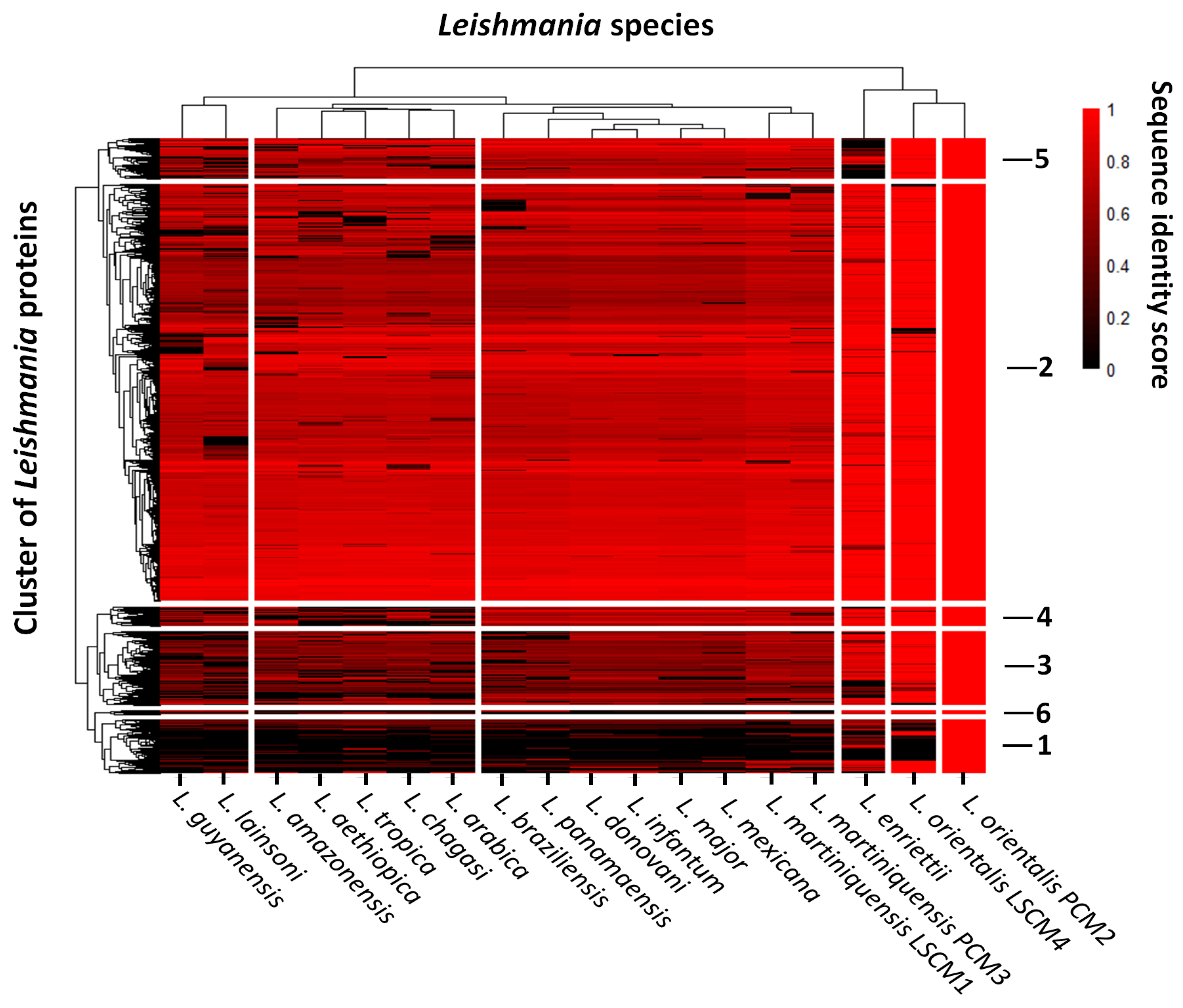 Biology 11 00515 g002