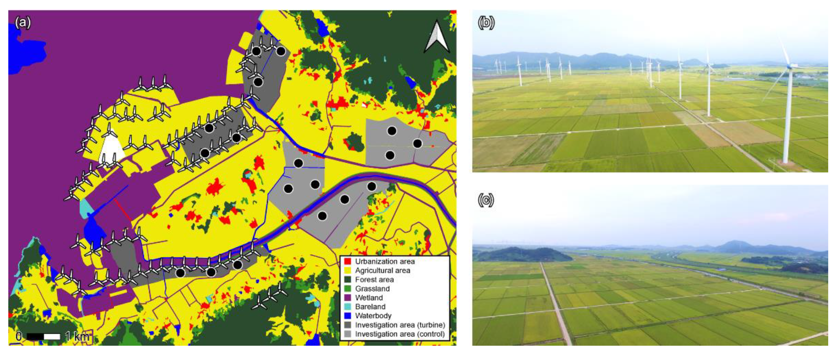 Biology 11 00516 g001 550