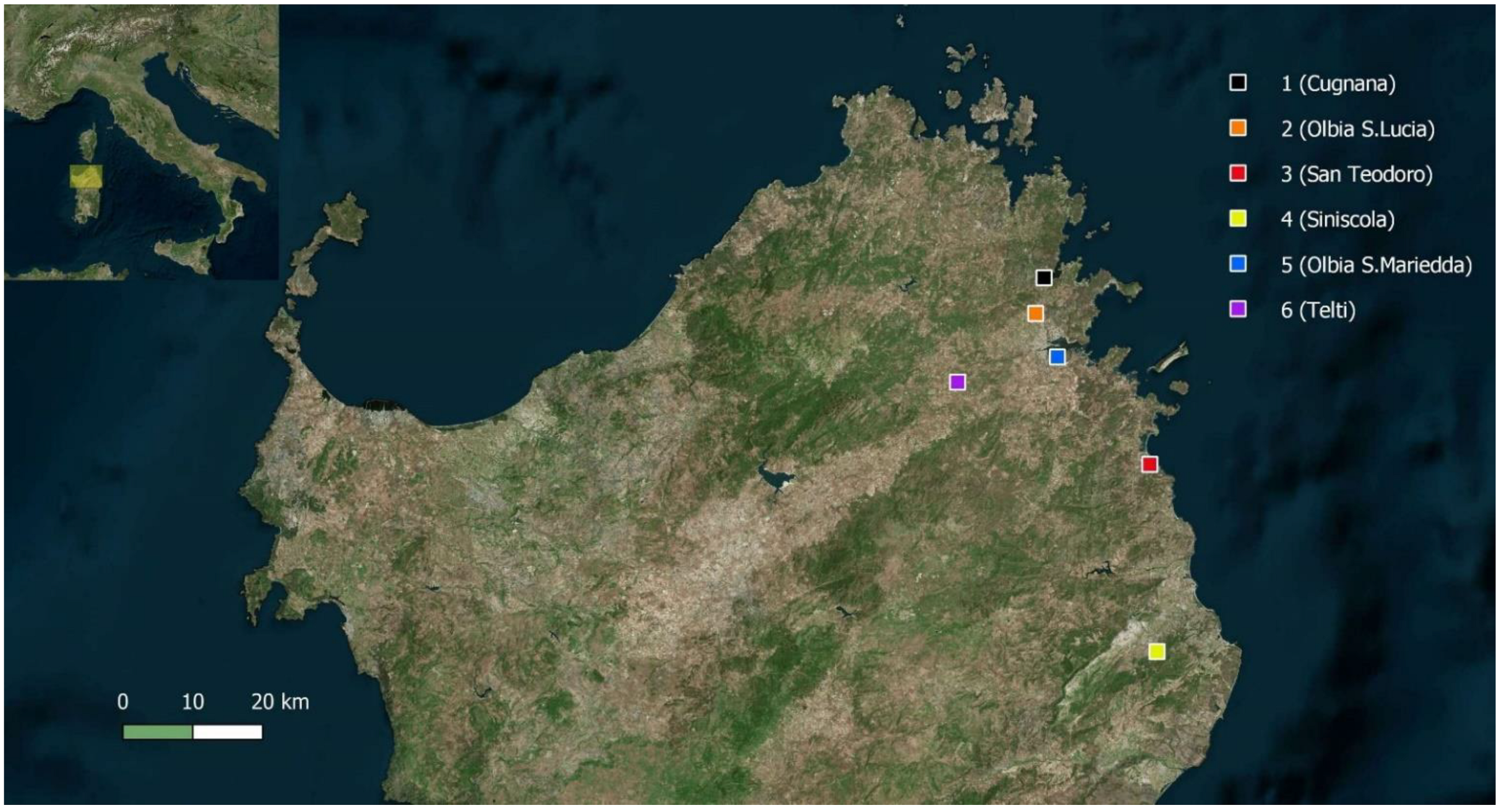 Biology 11 00518 g001 550