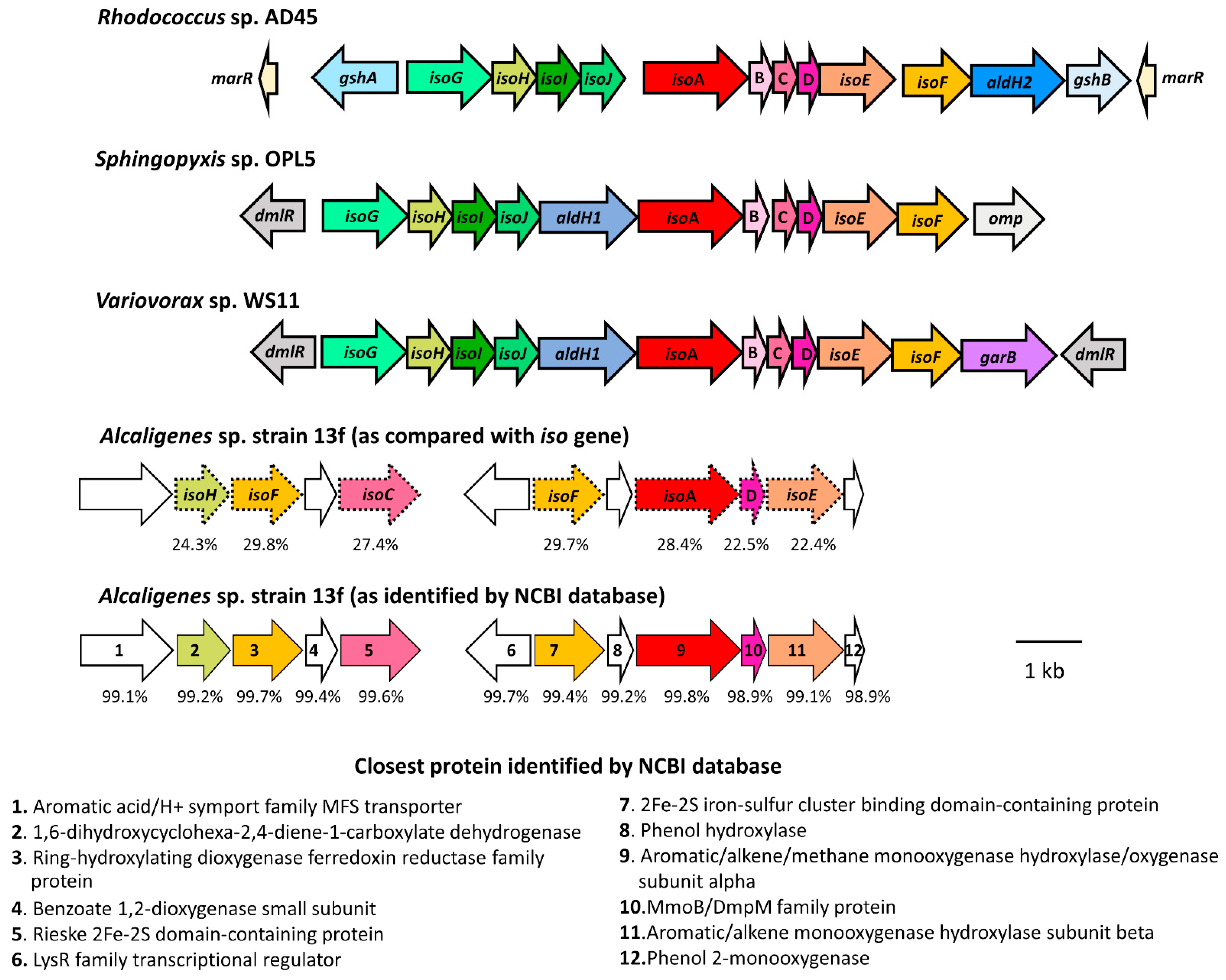 Biology 11 00519 g004