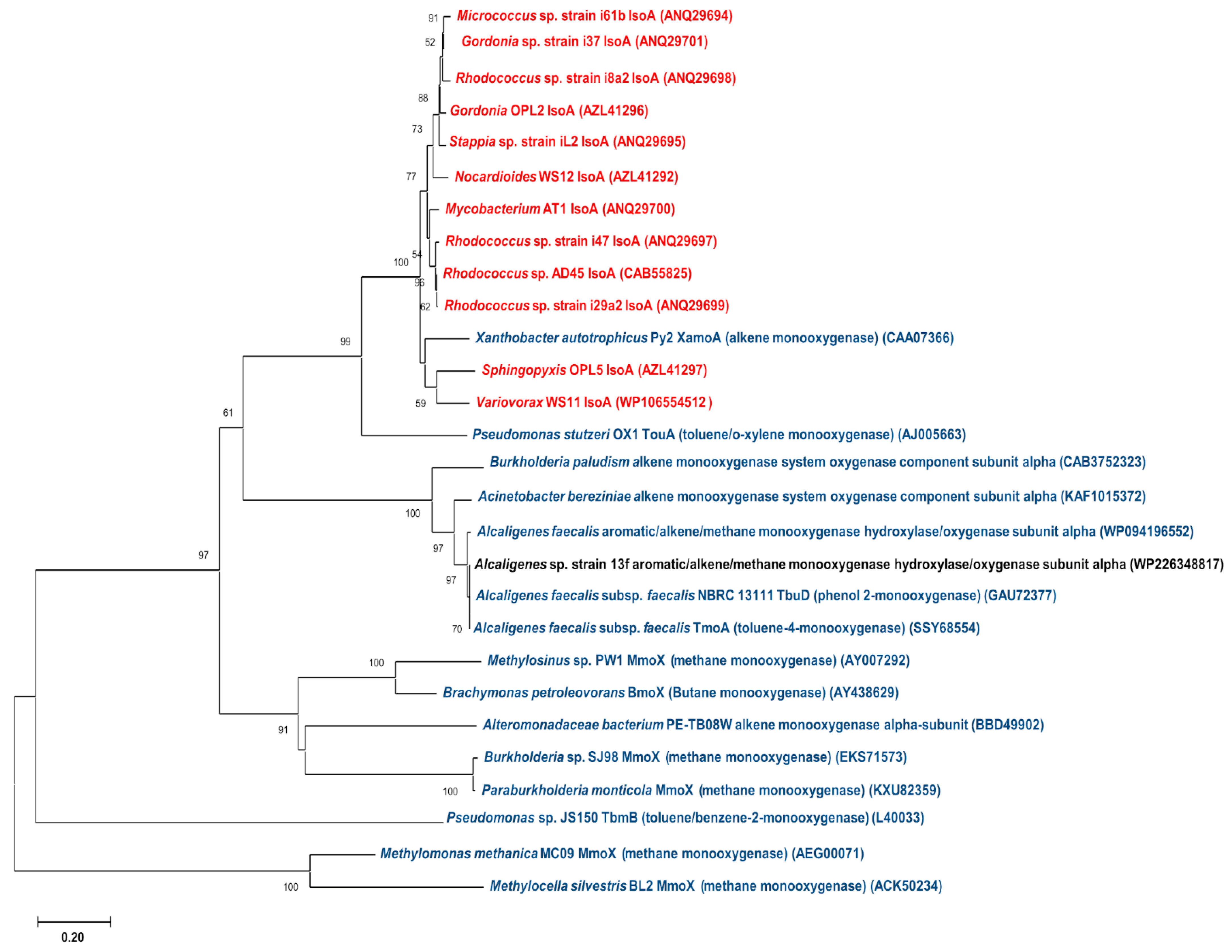 Biology 11 00519 g005