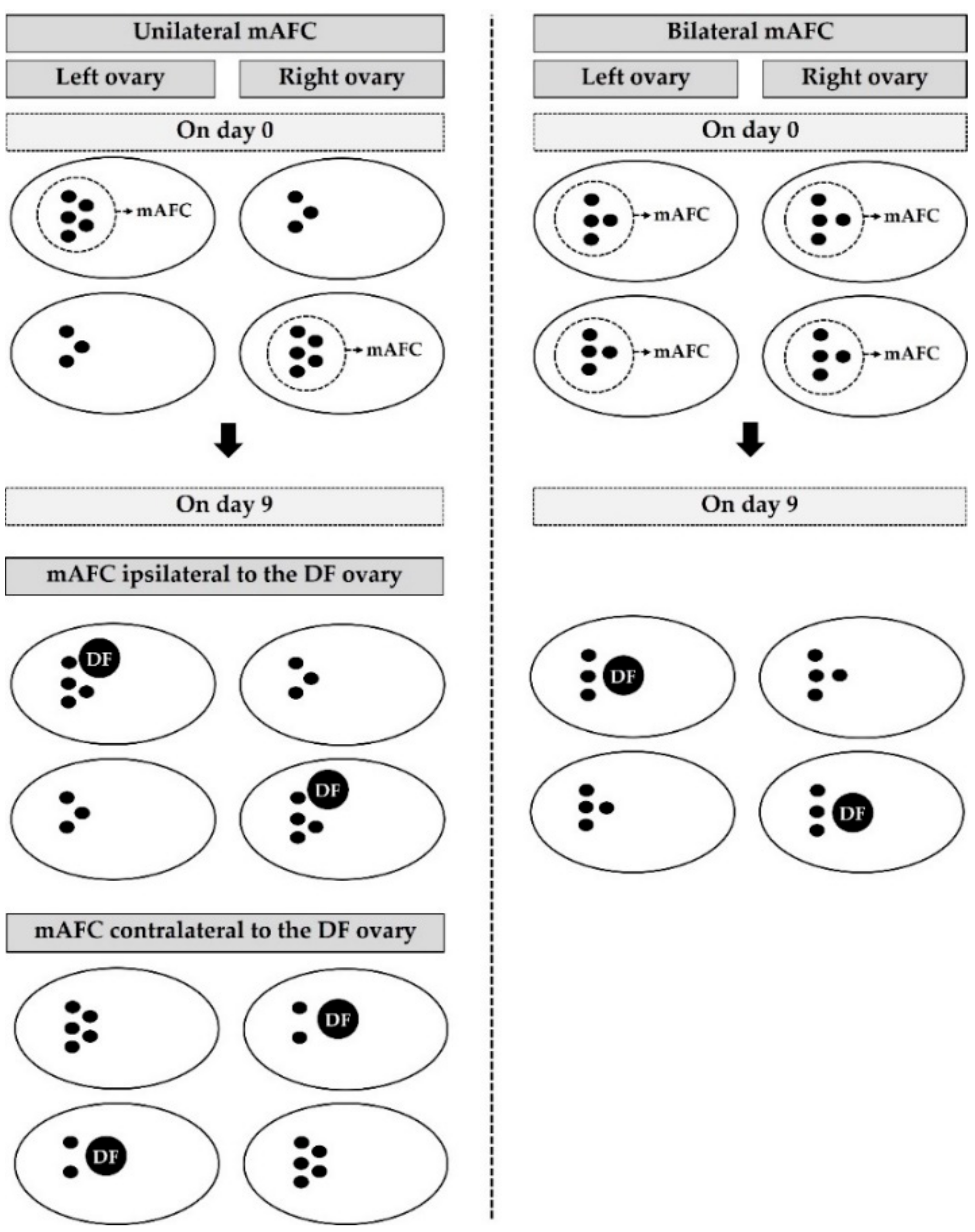 Biology 11 00523 g001