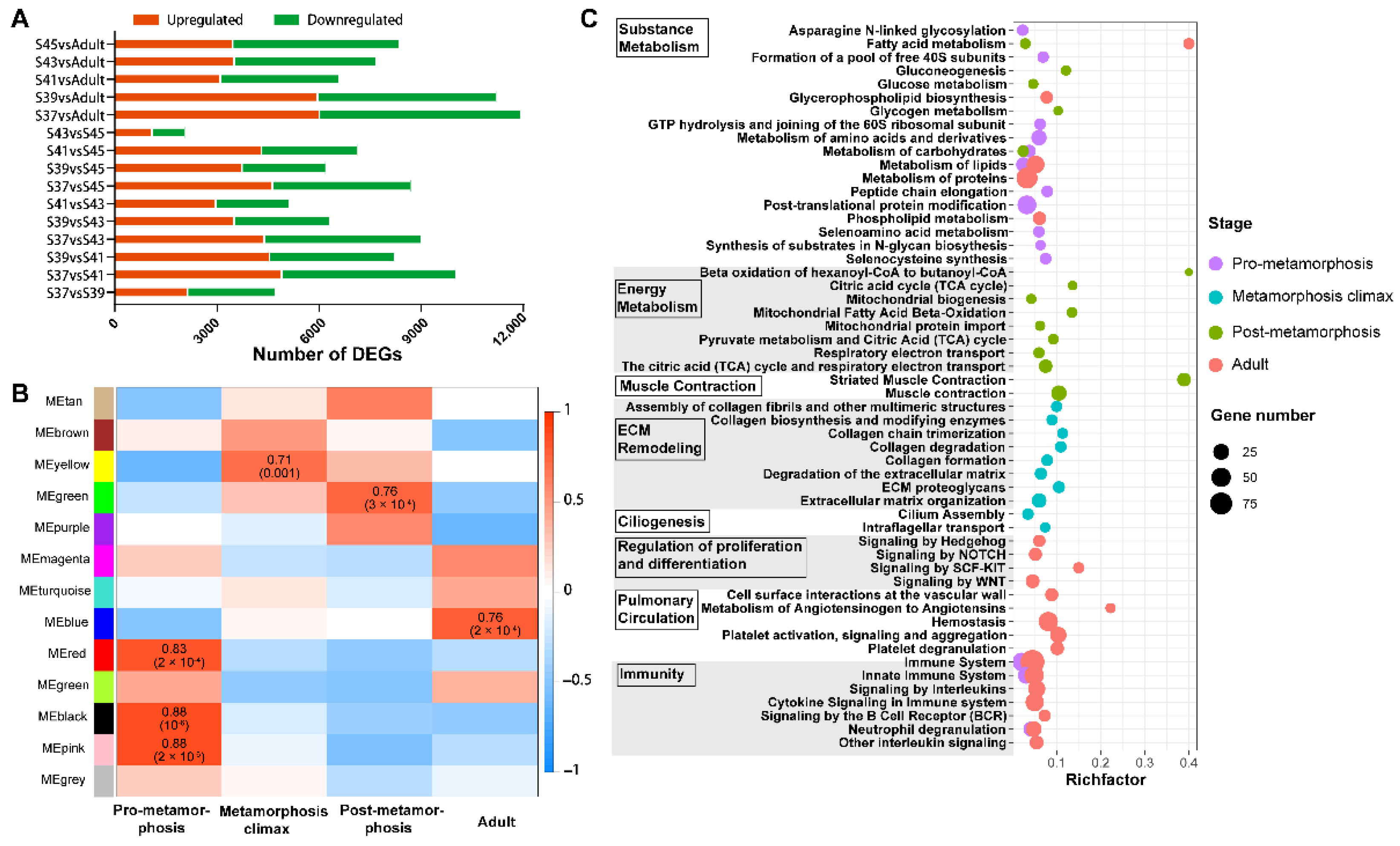 Biology 11 00528 g002 Biology 11 00528 g002
