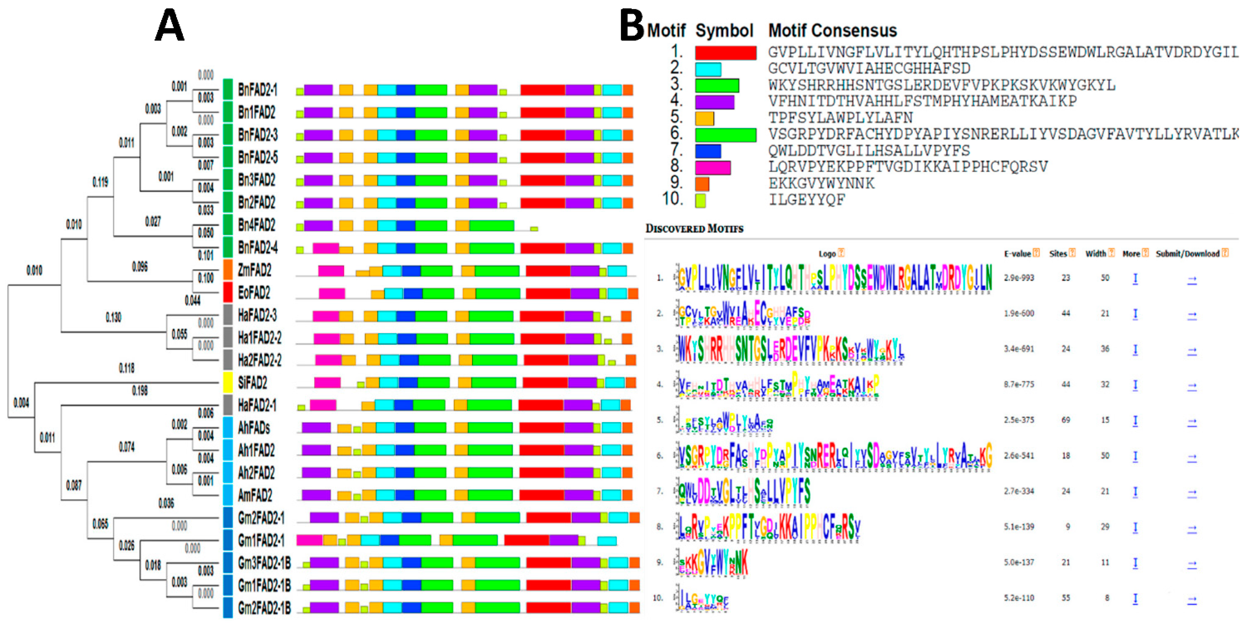 Biology 11 00529 g001