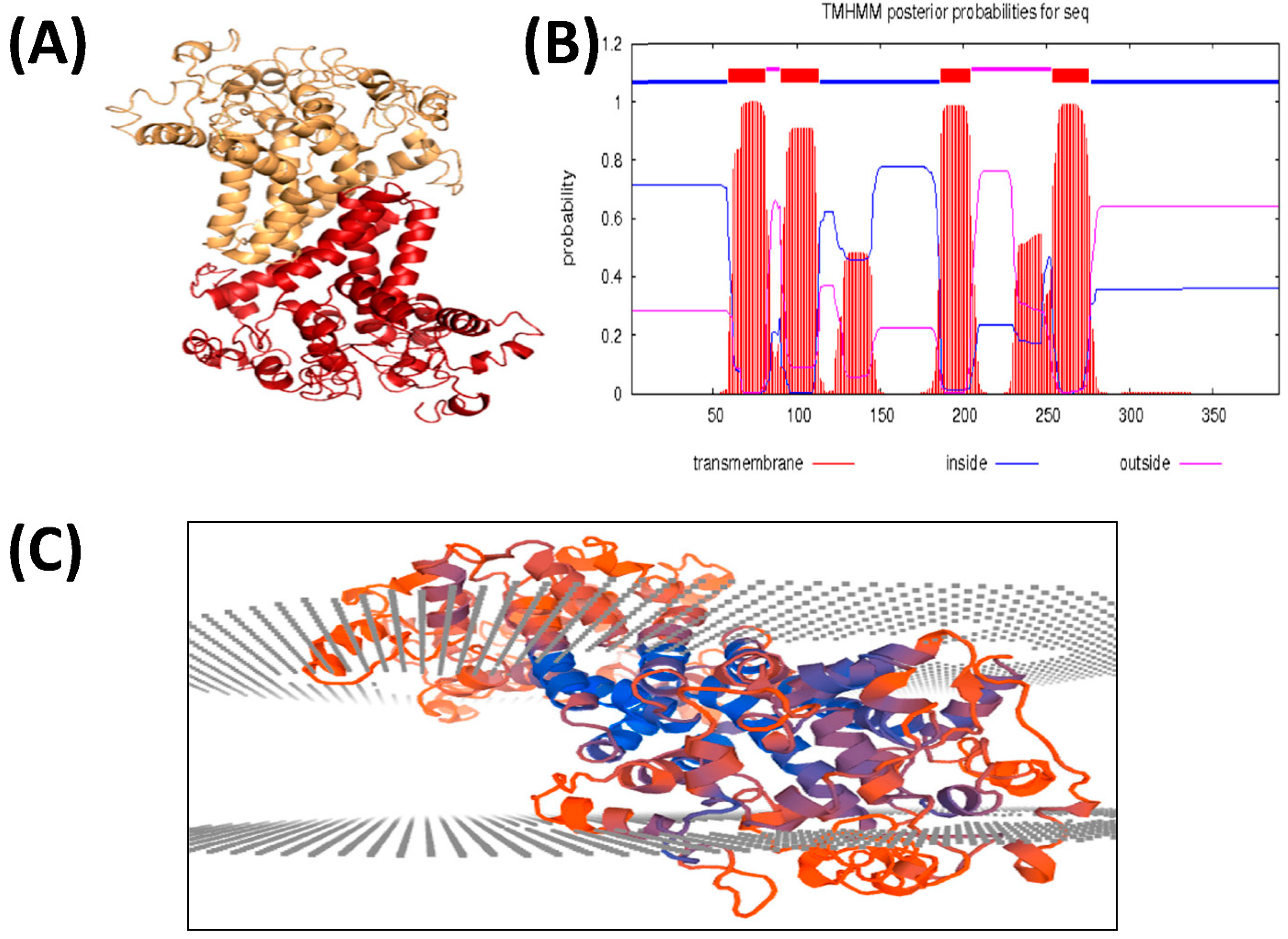 Biology 11 00529 g002