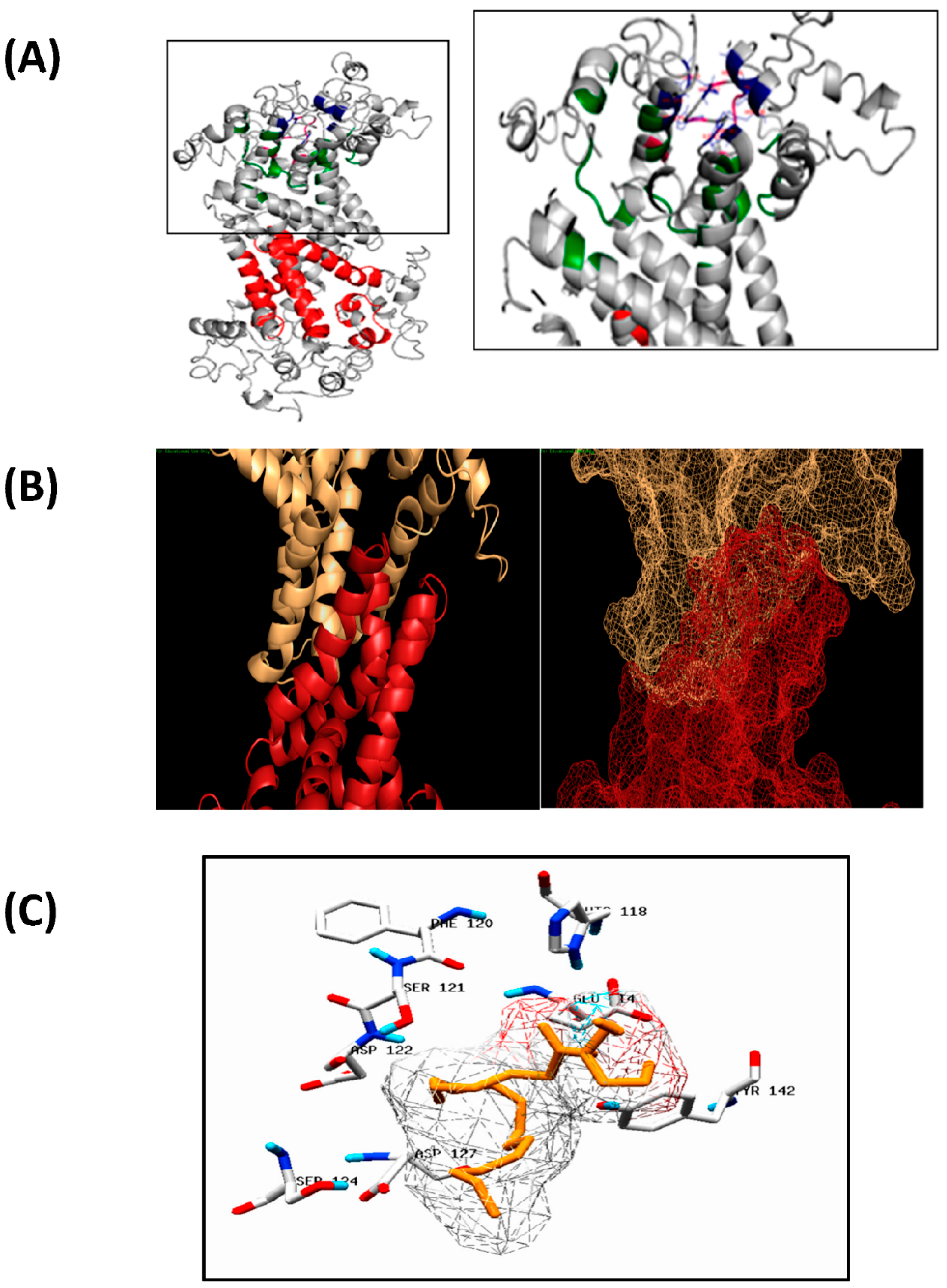 Biology 11 00529 g003